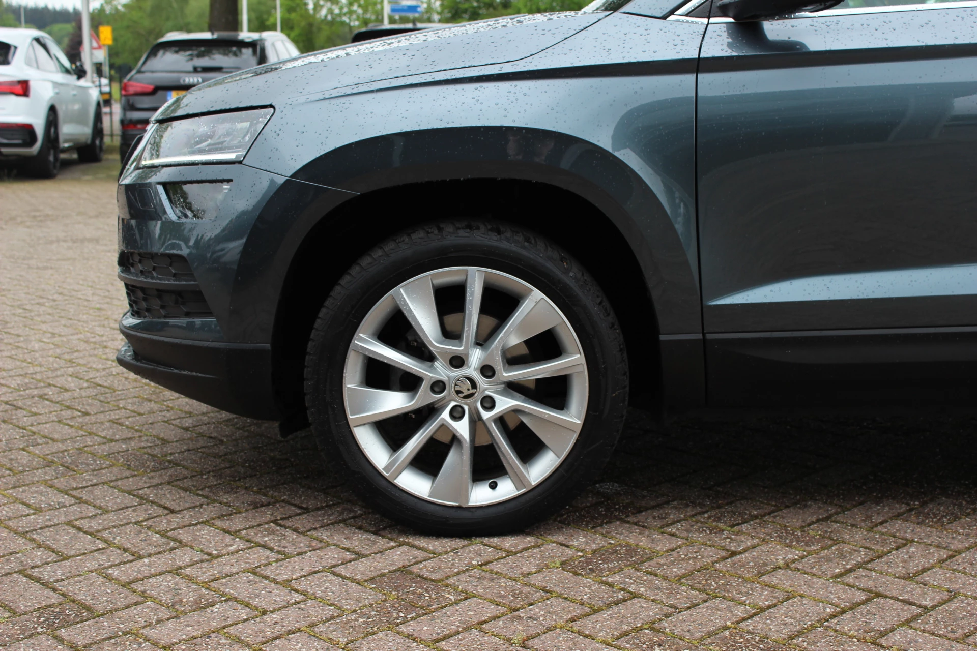 Hoofdafbeelding Škoda Karoq