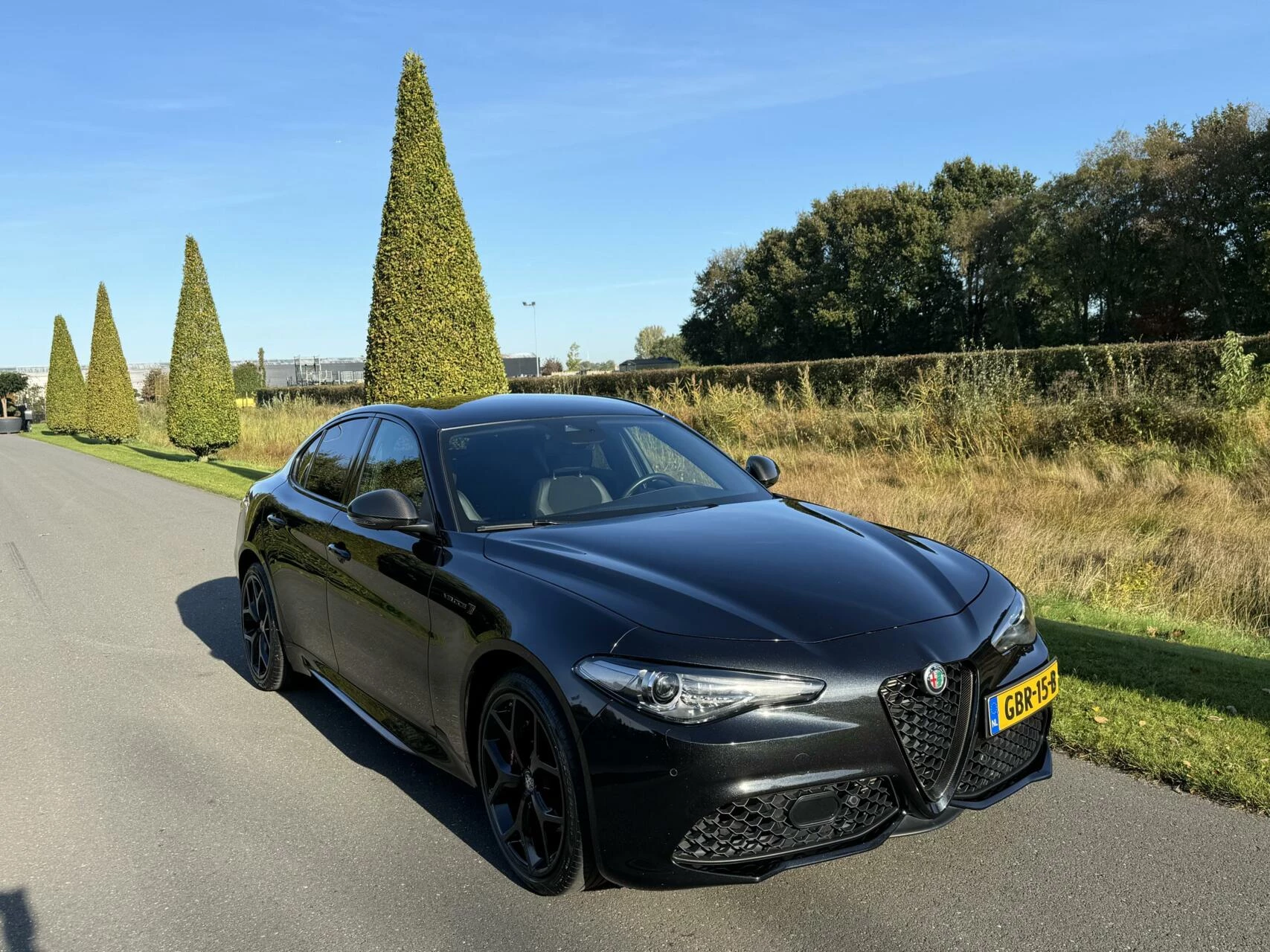 Hoofdafbeelding Alfa Romeo Giulia