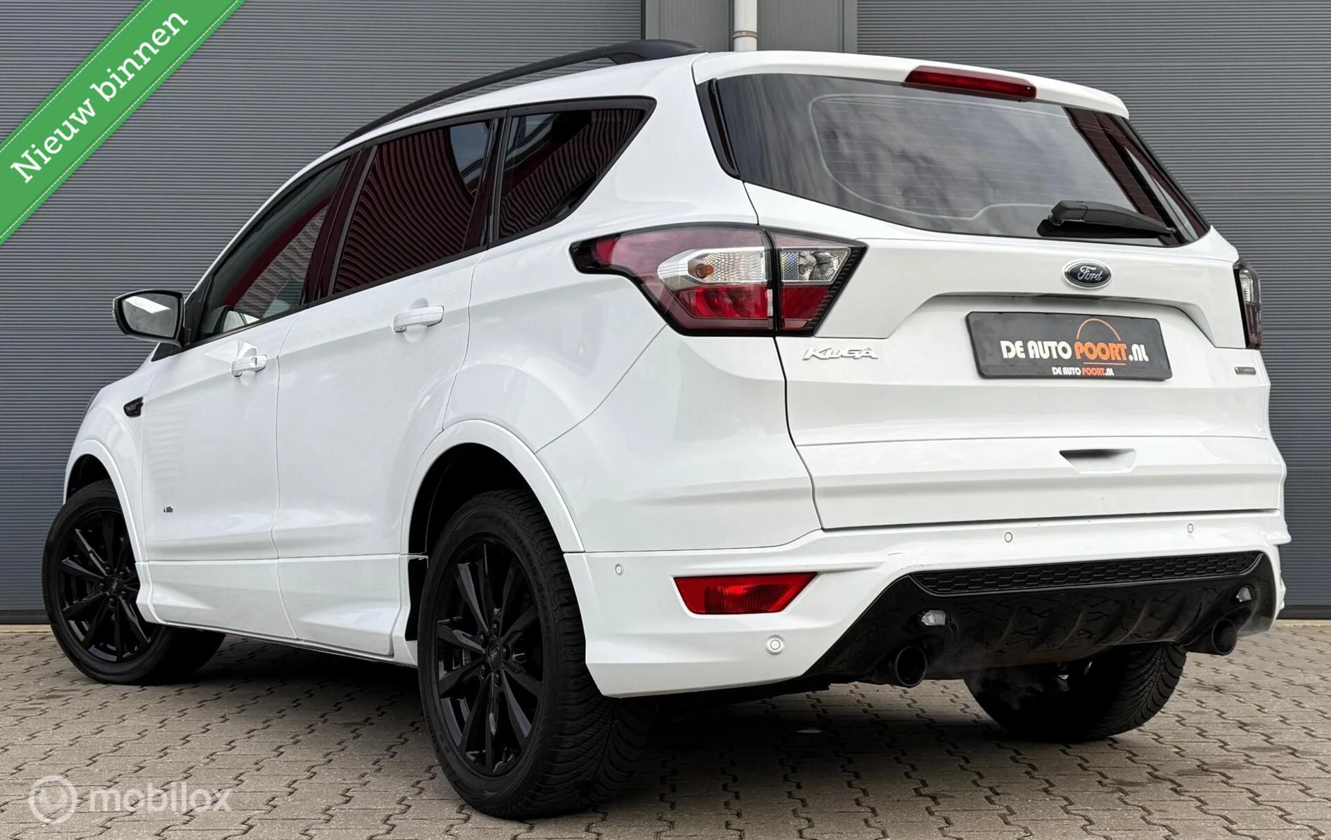 Hoofdafbeelding Ford Kuga
