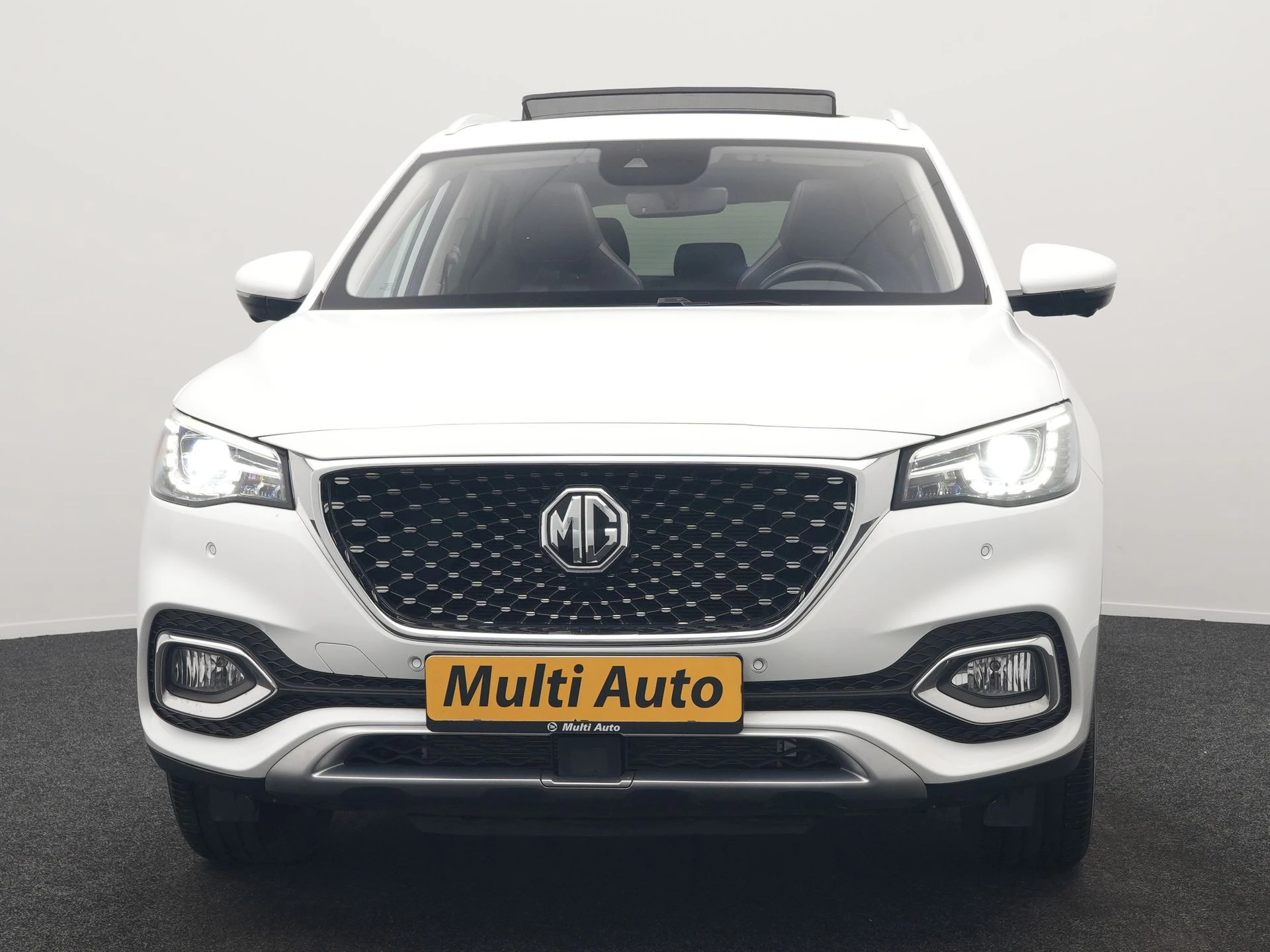 Hoofdafbeelding MG EHS