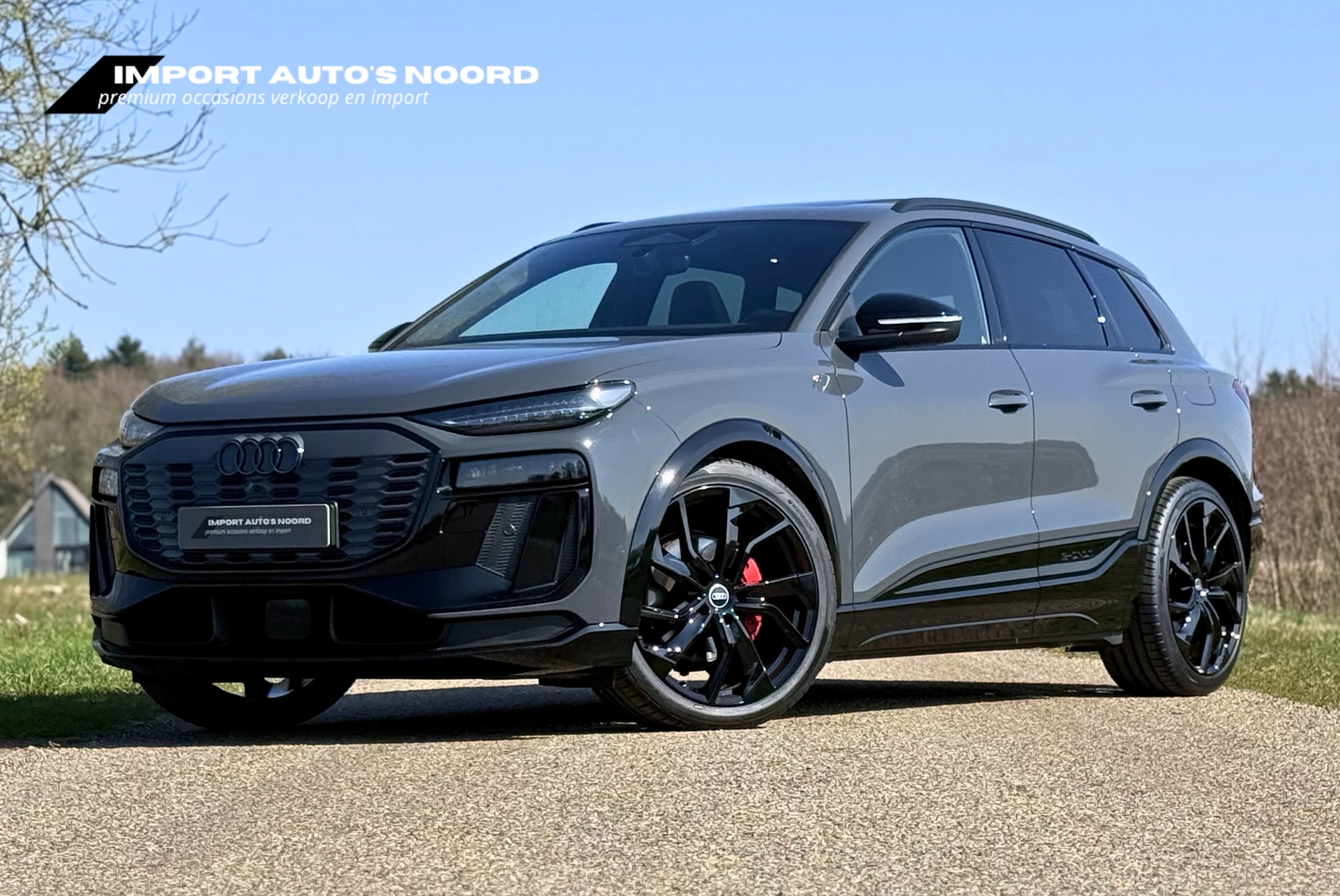 Hoofdafbeelding Audi Q6 e-tron