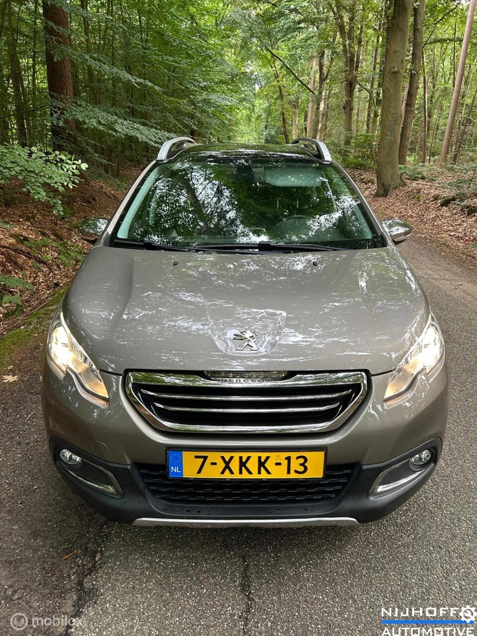 Hoofdafbeelding Peugeot 2008