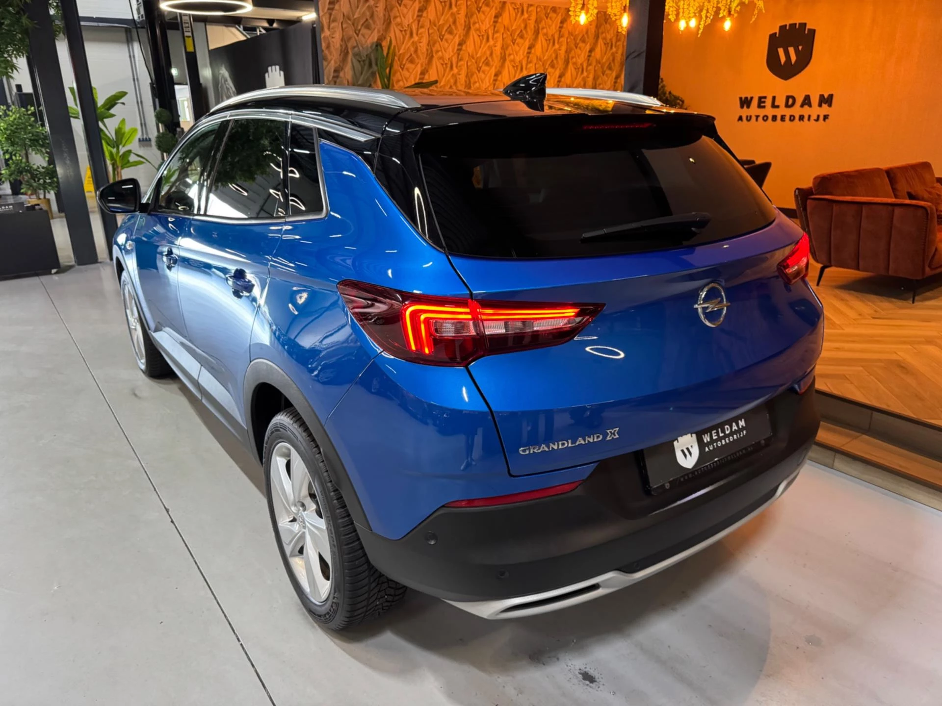 Hoofdafbeelding Opel Grandland X
