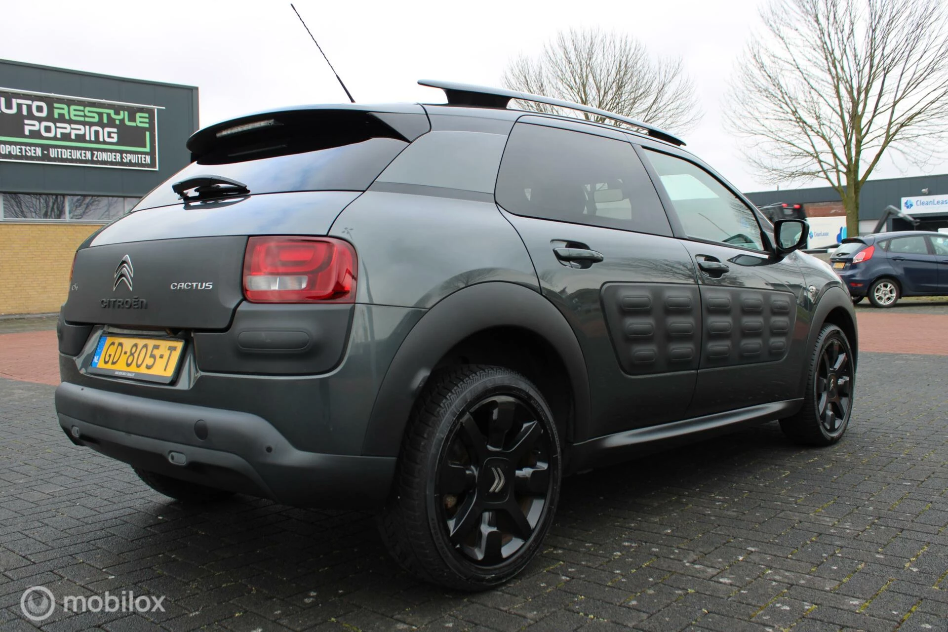 Hoofdafbeelding Citroën C4 Cactus