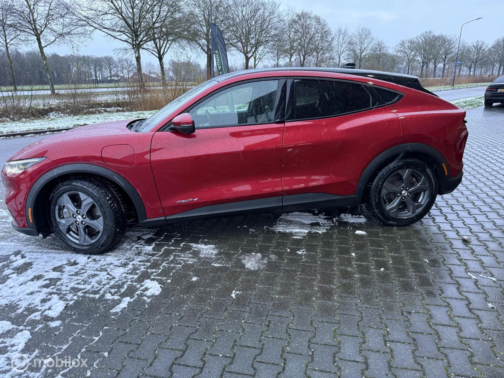 Hoofdafbeelding Ford Mustang Mach-E