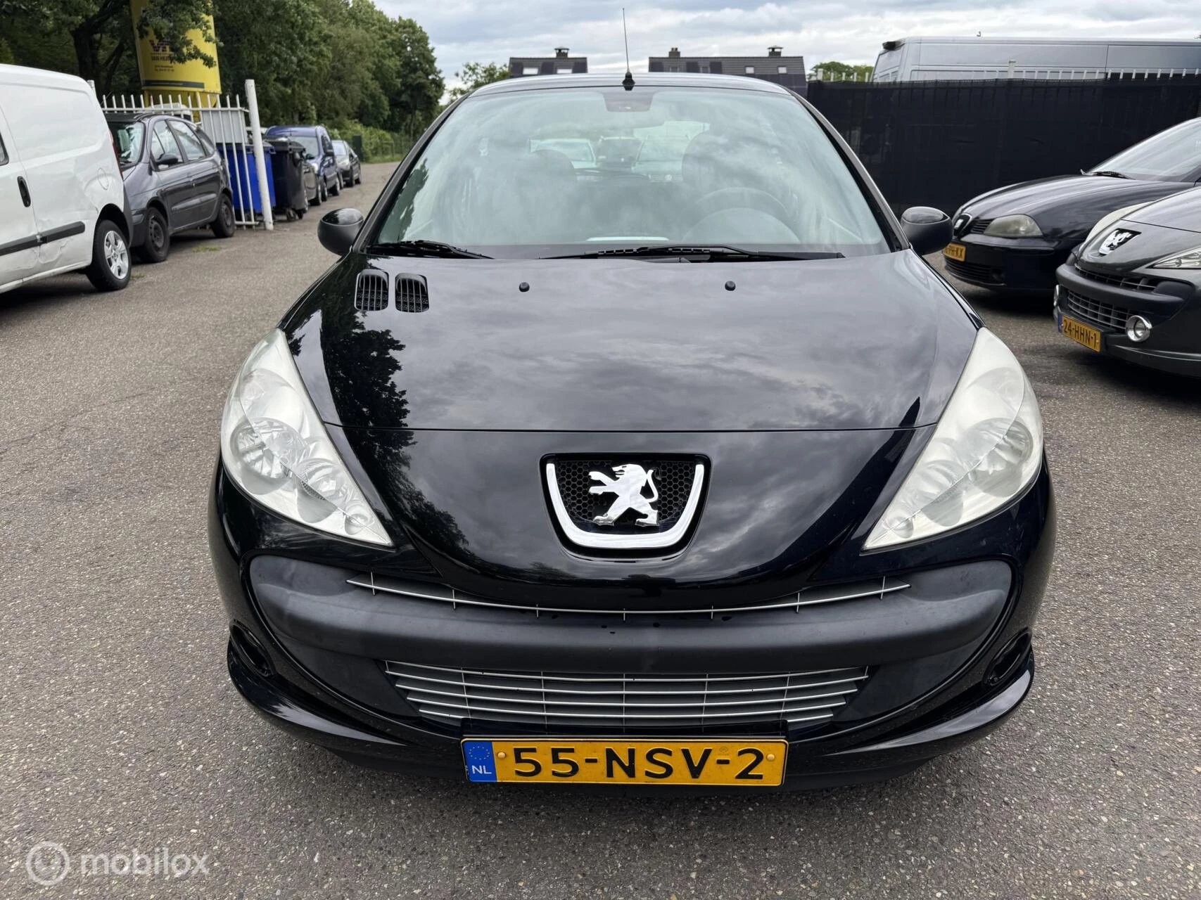 Hoofdafbeelding Peugeot 206