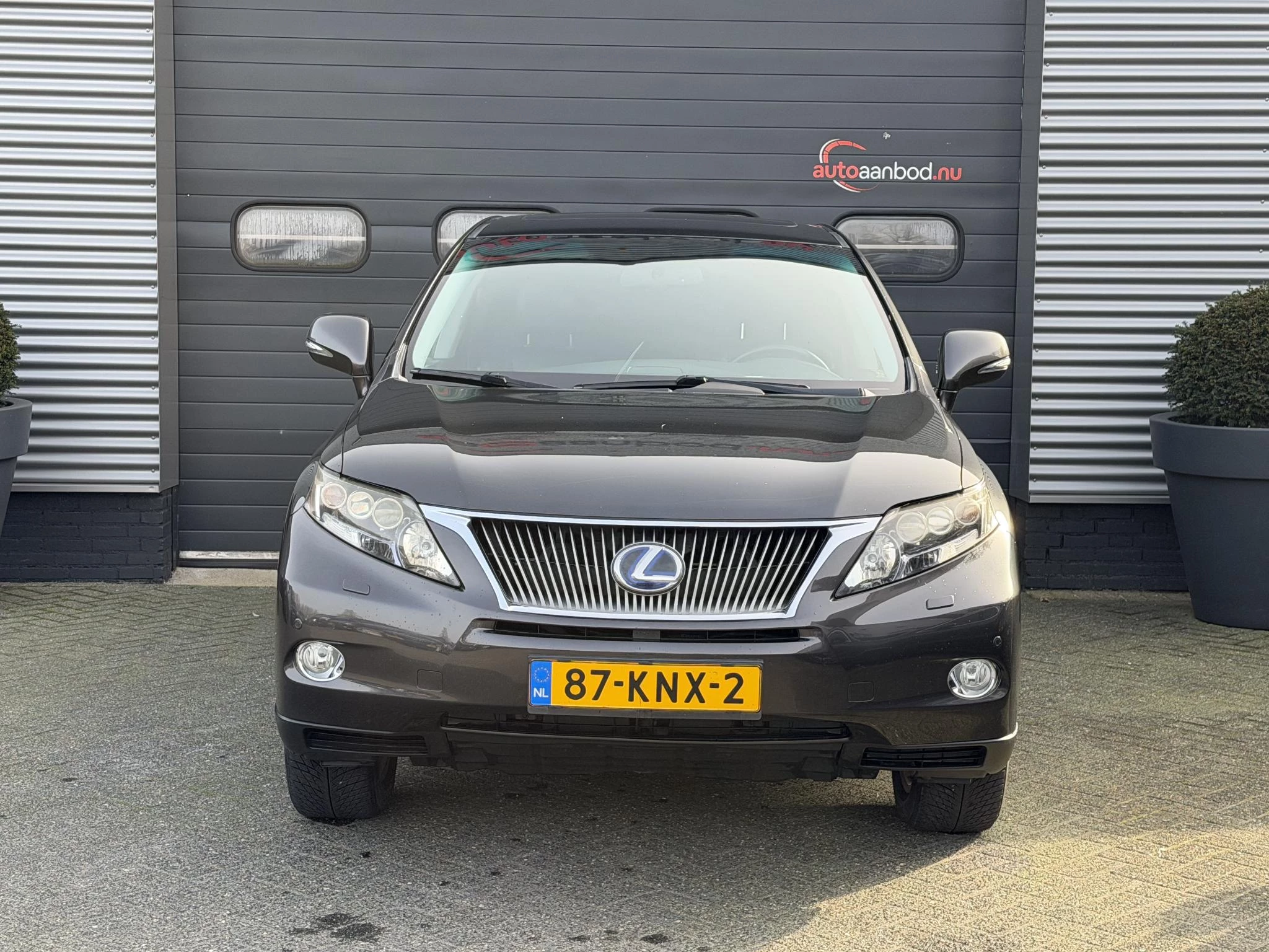 Hoofdafbeelding Lexus RX