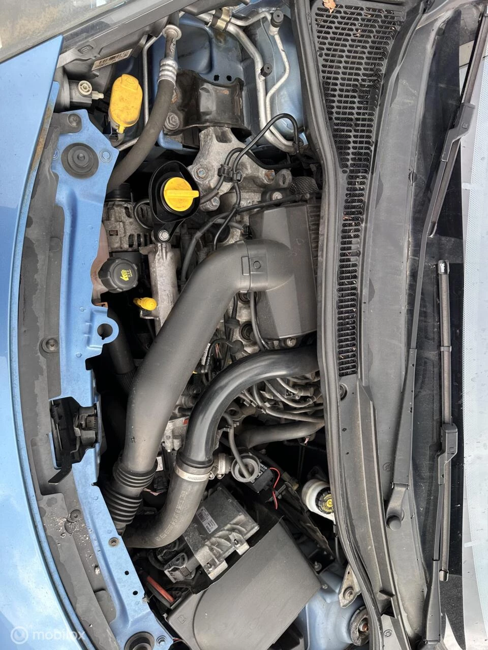 Hoofdafbeelding Renault Wind