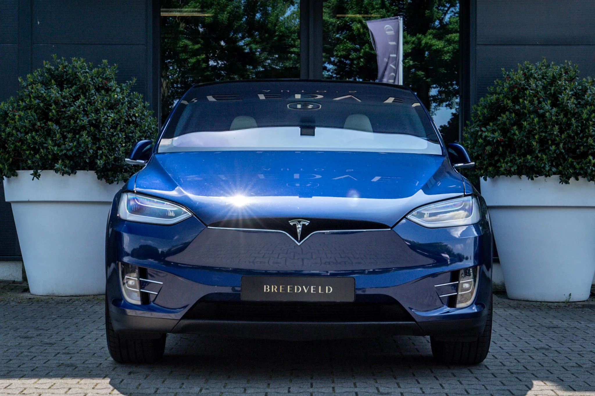 Hoofdafbeelding Tesla Model X