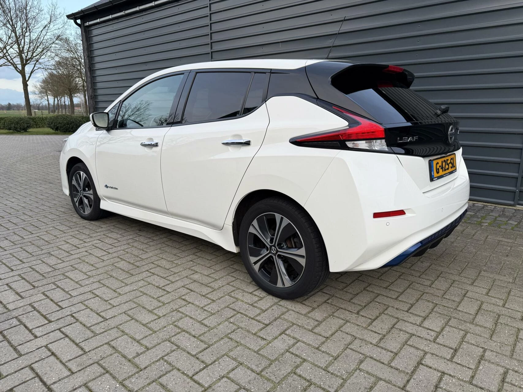 Hoofdafbeelding Nissan Leaf