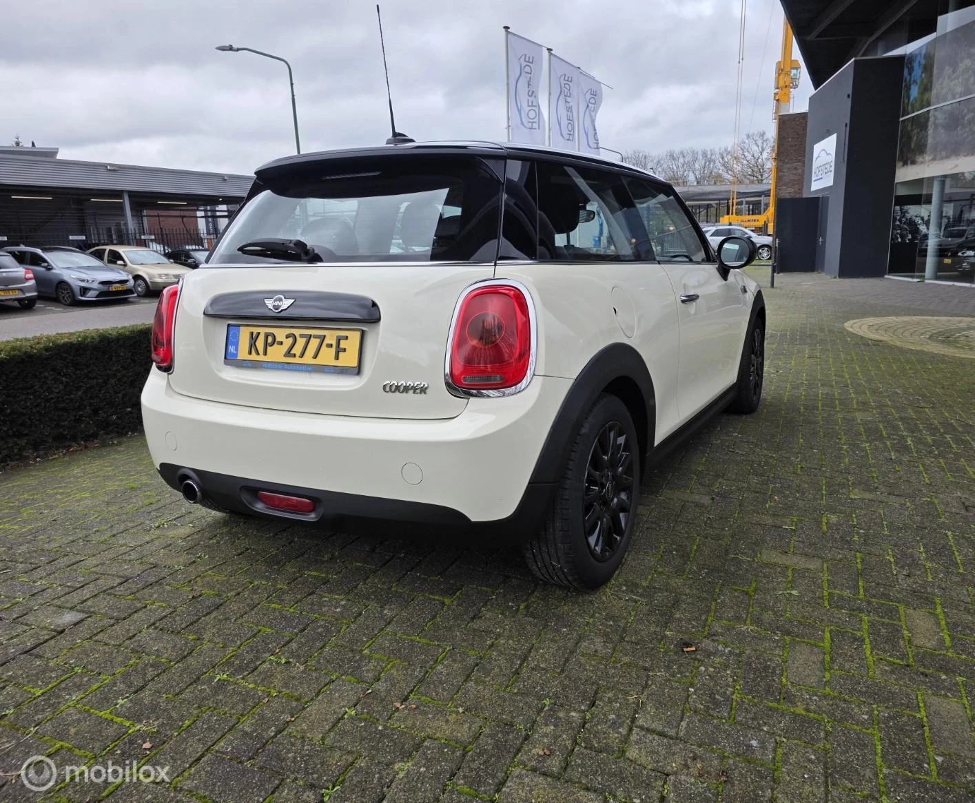 Hoofdafbeelding MINI Cooper