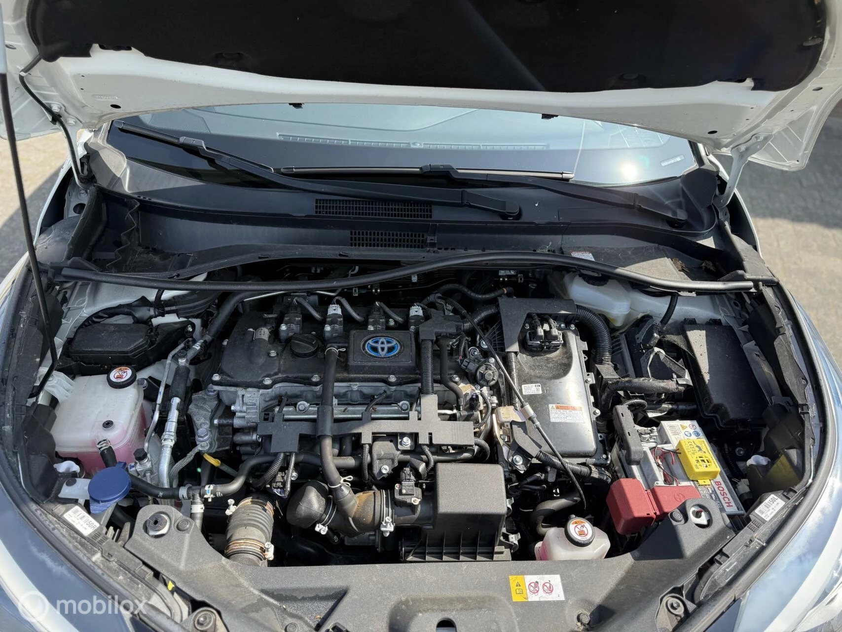 Hoofdafbeelding Toyota C-HR