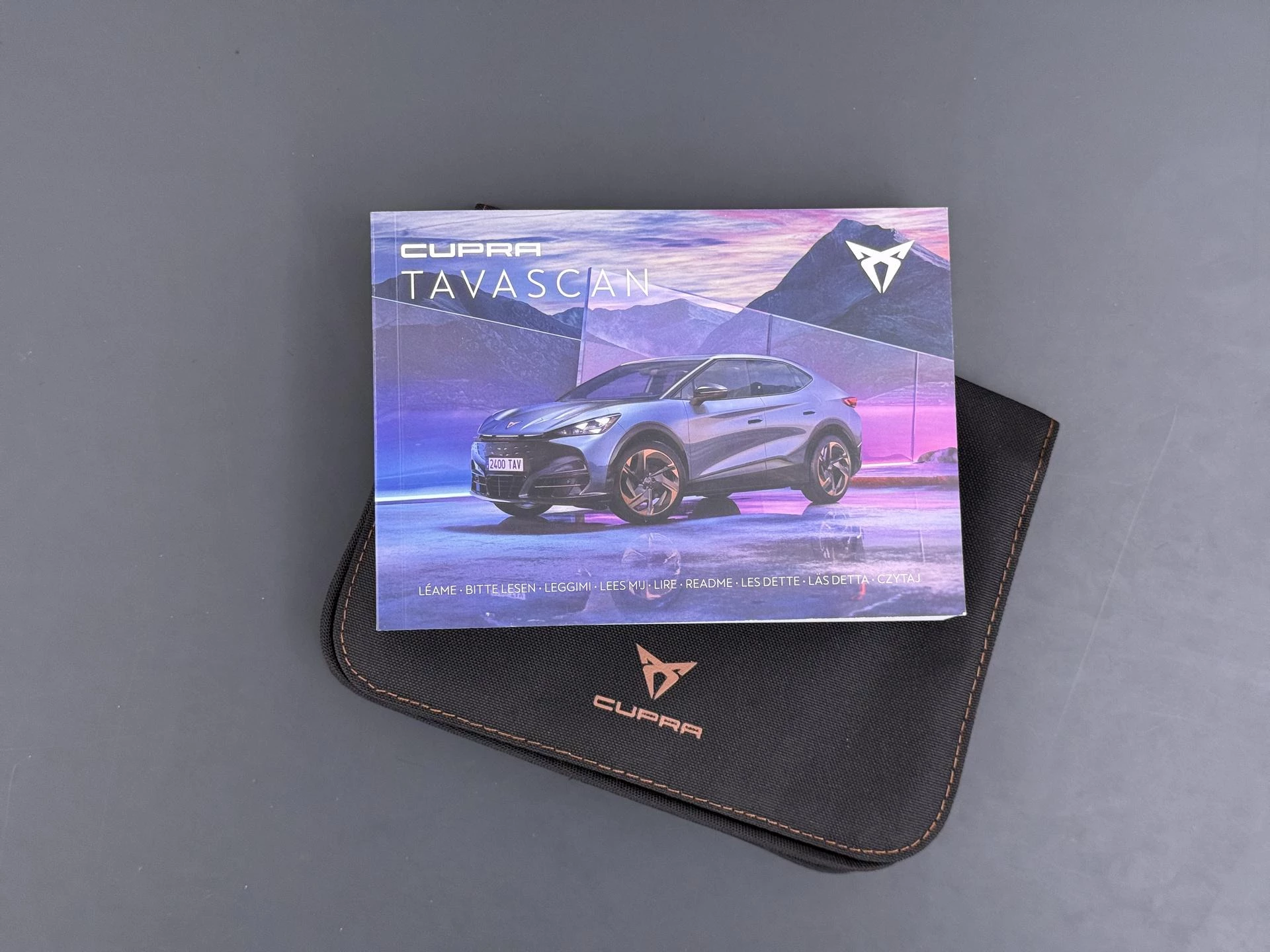 Hoofdafbeelding CUPRA Tavascan