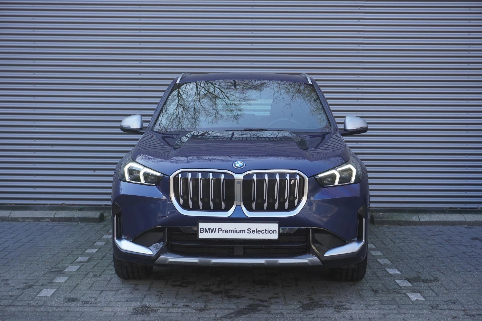 Hoofdafbeelding BMW iX1