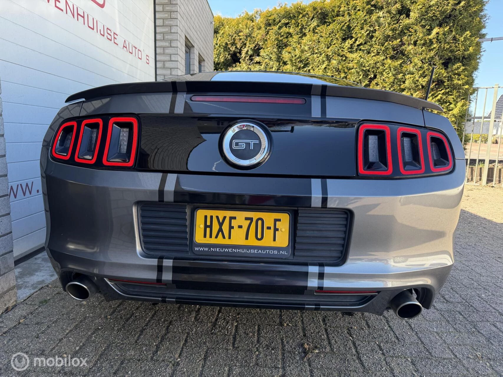 Hoofdafbeelding Ford Mustang