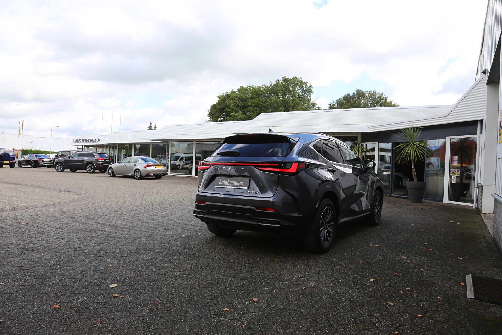 Hoofdafbeelding Lexus NX
