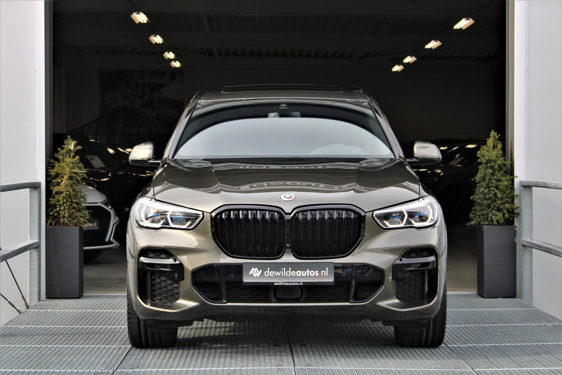 Hoofdafbeelding BMW X5