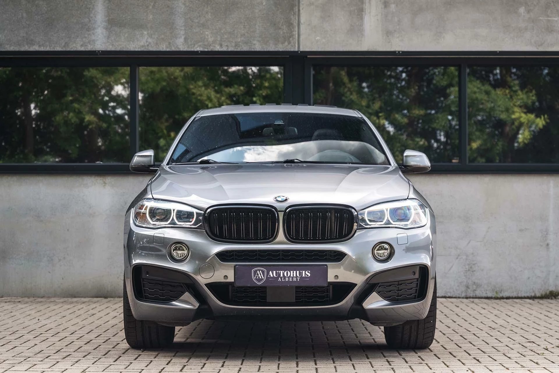 Hoofdafbeelding BMW X6