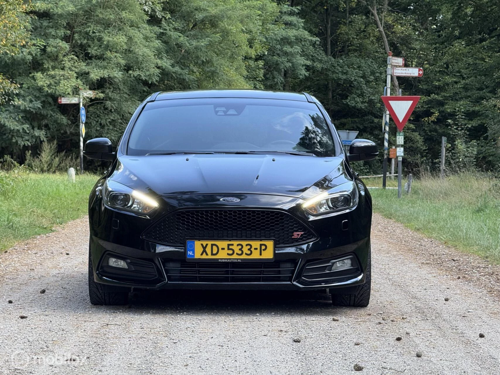 Hoofdafbeelding Ford Focus