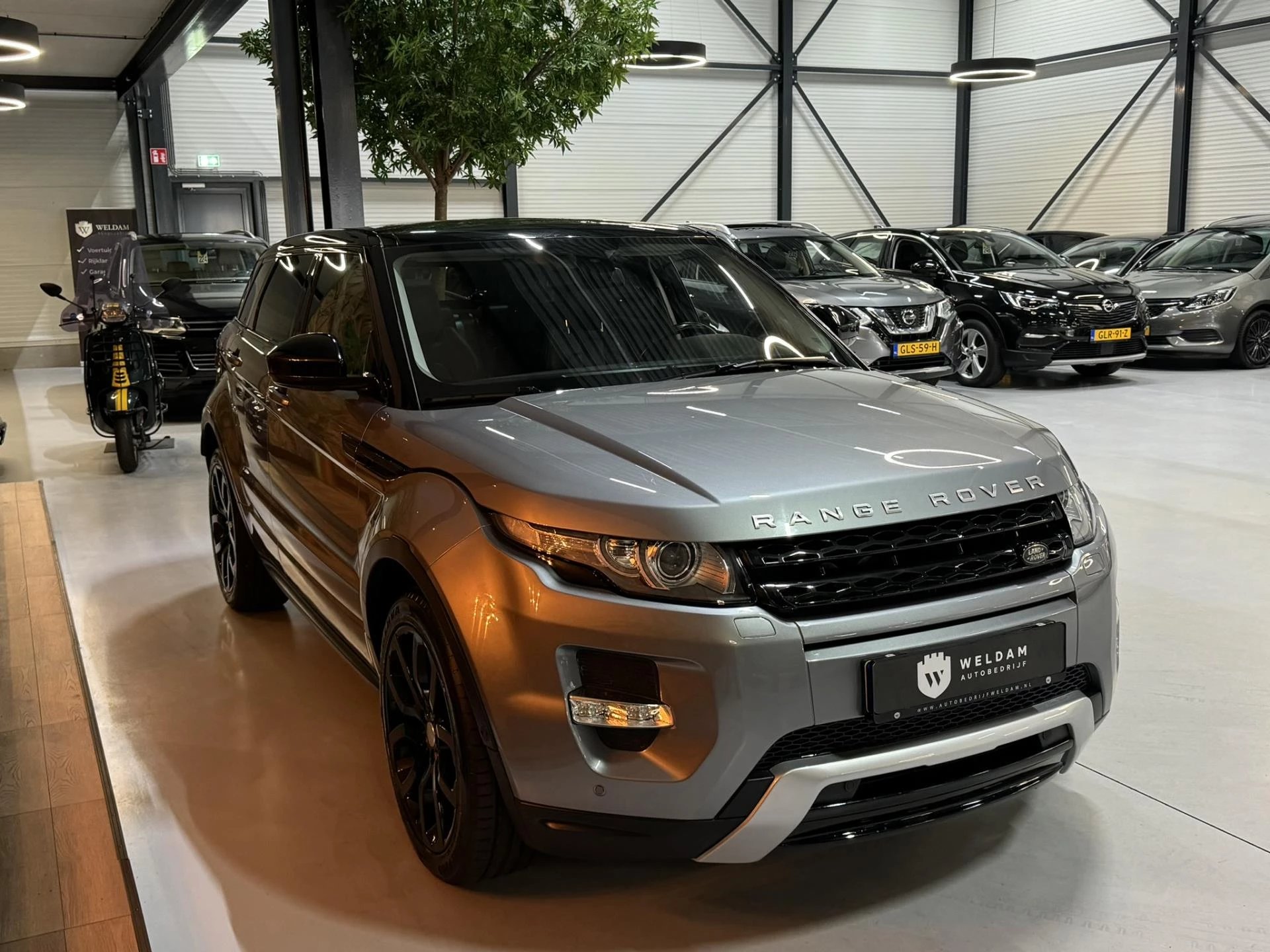 Hoofdafbeelding Land Rover Range Rover Evoque