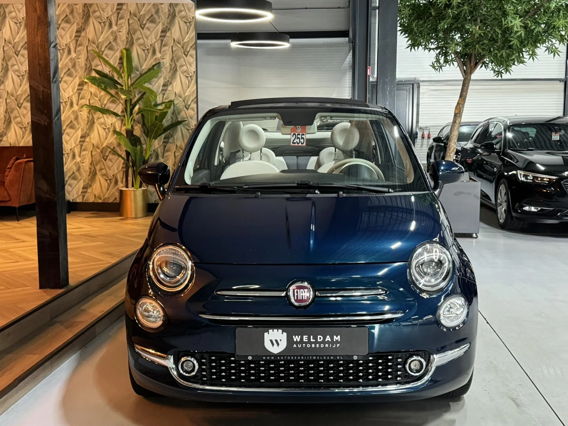 Hoofdafbeelding Fiat 500C
