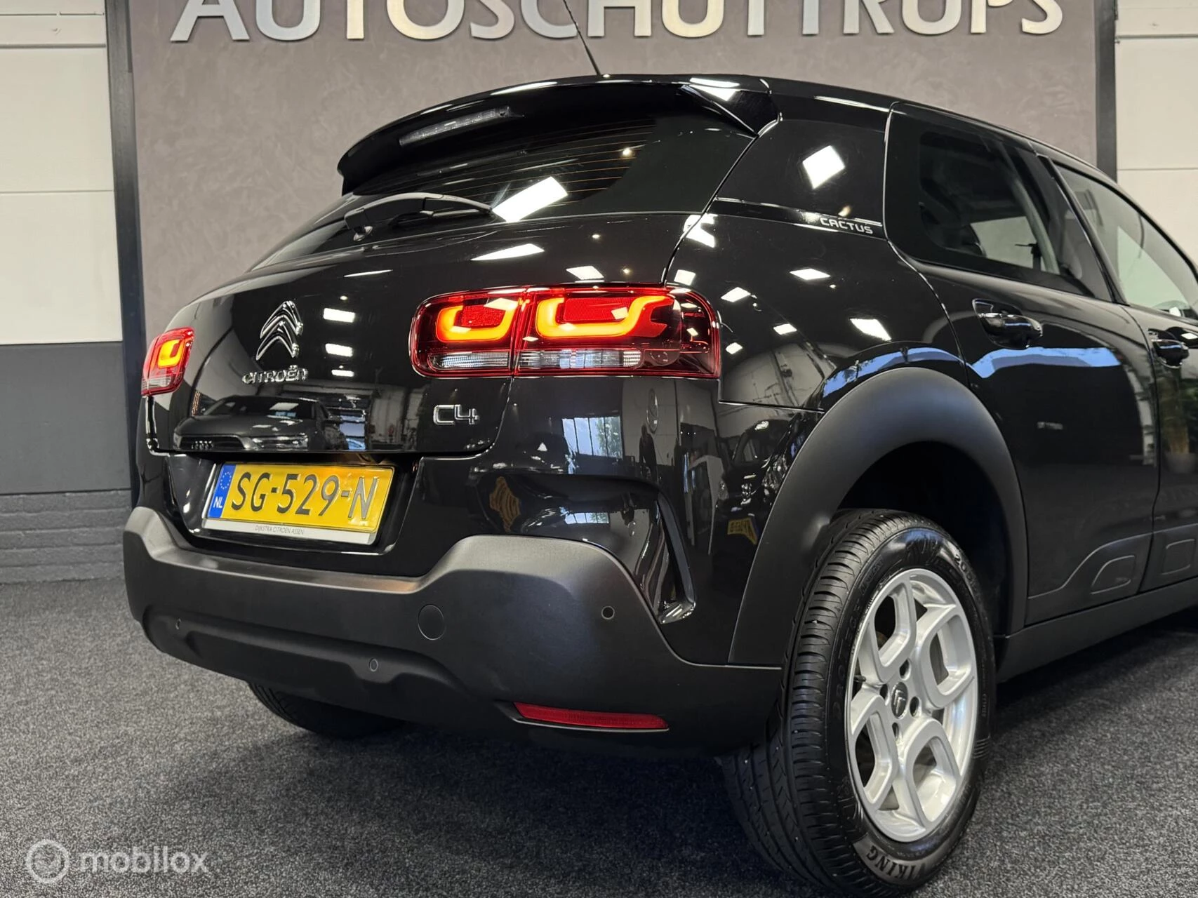 Hoofdafbeelding Citroën C4 Cactus