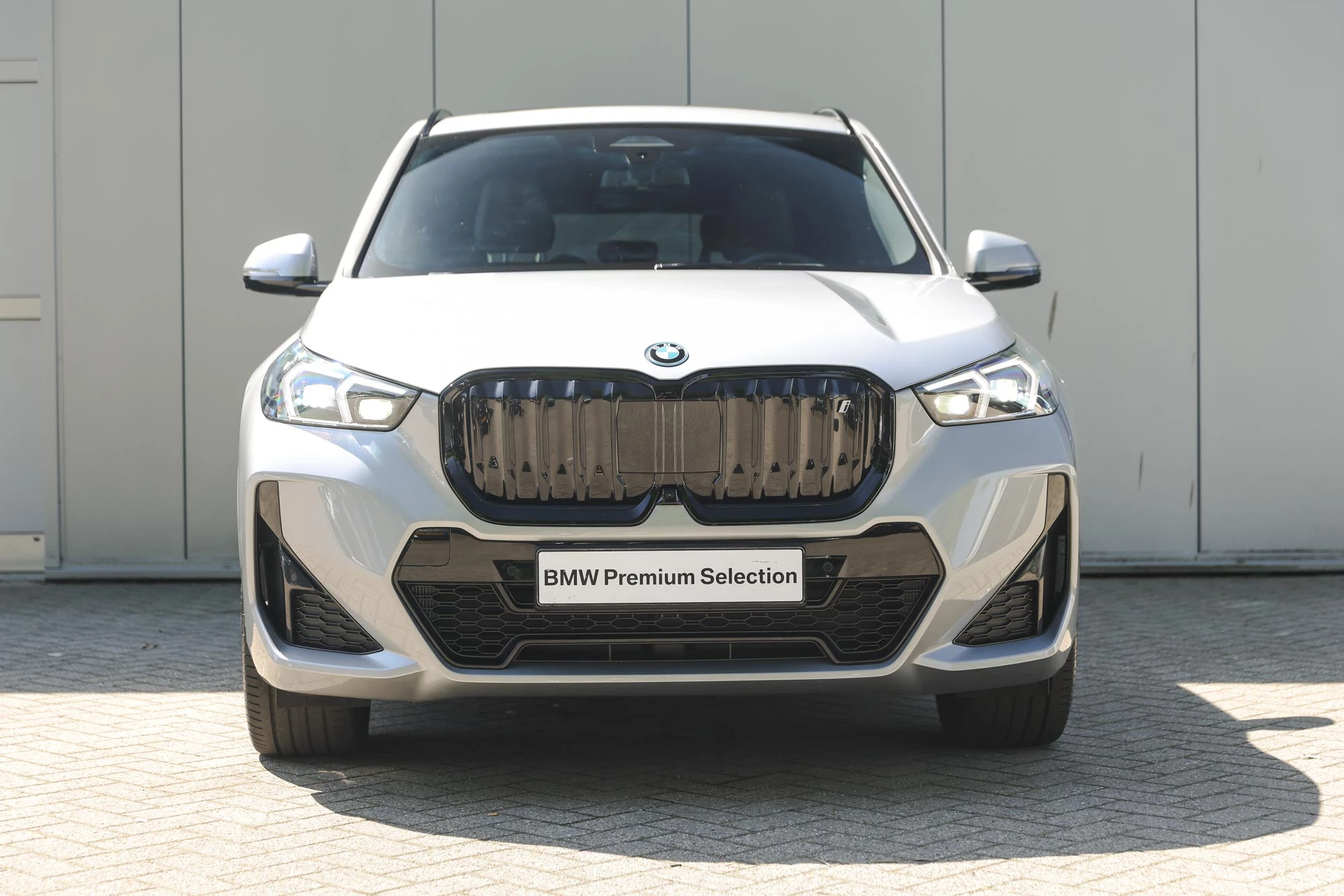 Hoofdafbeelding BMW iX1