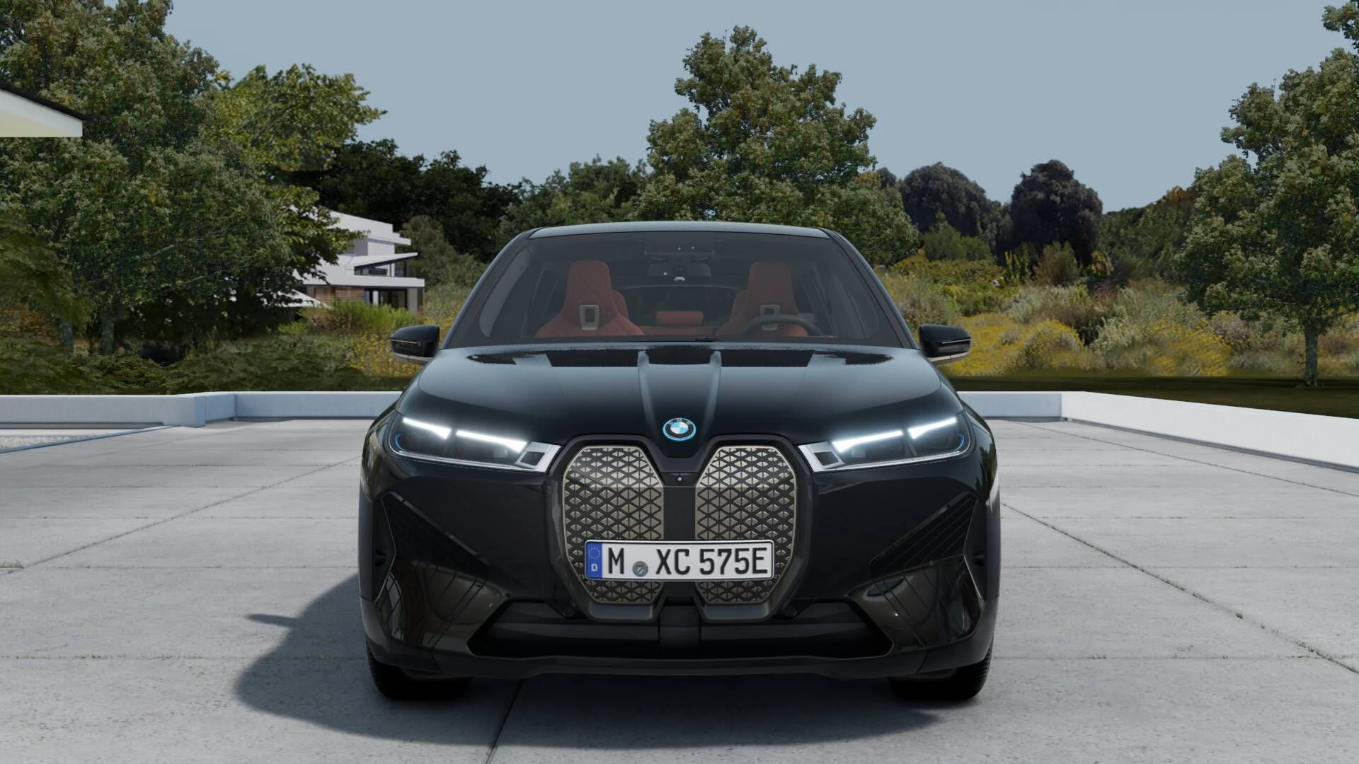 Hoofdafbeelding BMW iX