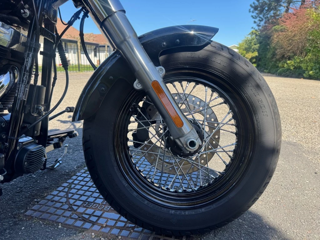 Hoofdafbeelding Harley-Davidson Softail