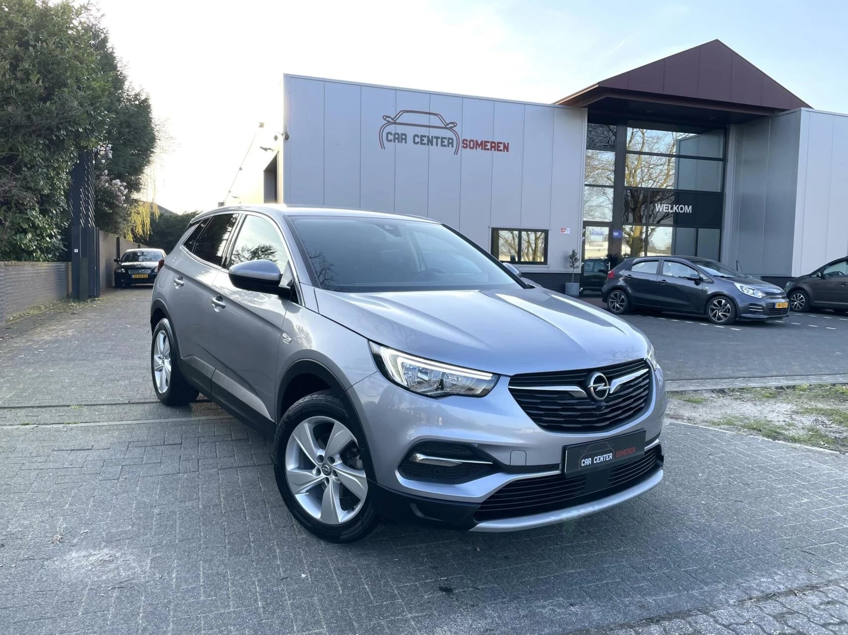 Hoofdafbeelding Opel Grandland X