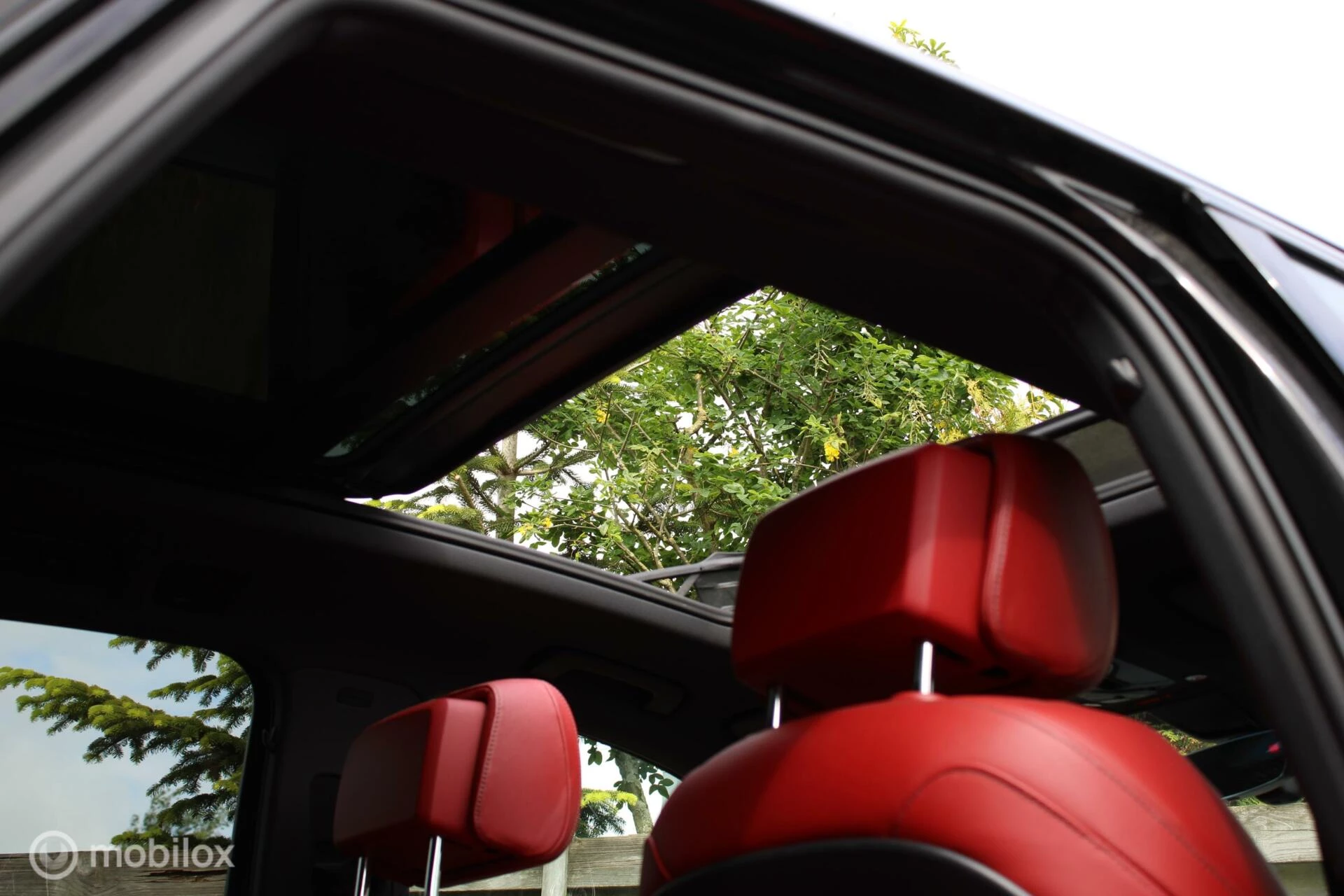 Hoofdafbeelding Audi SQ5
