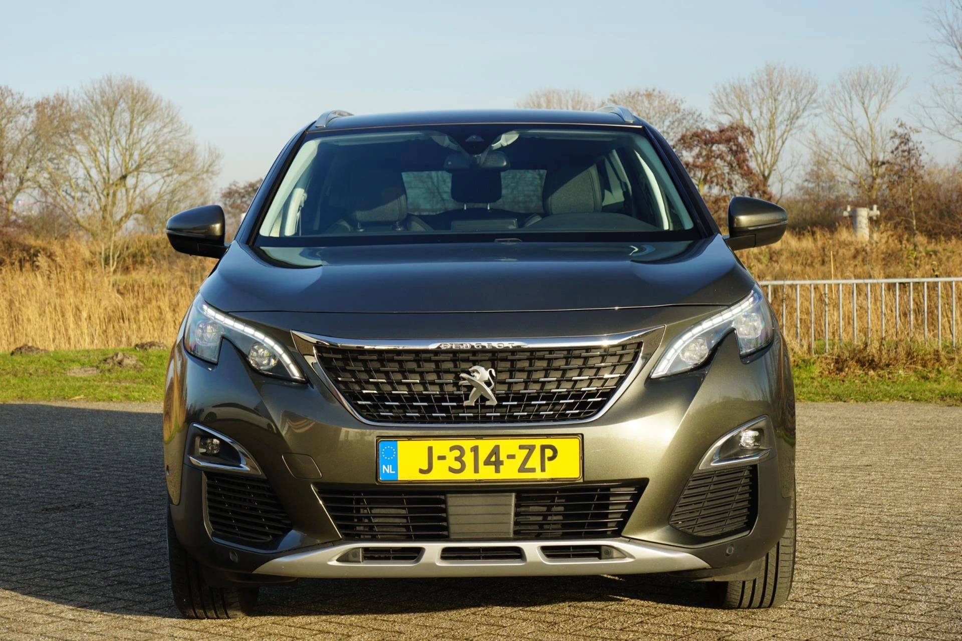 Hoofdafbeelding Peugeot 5008