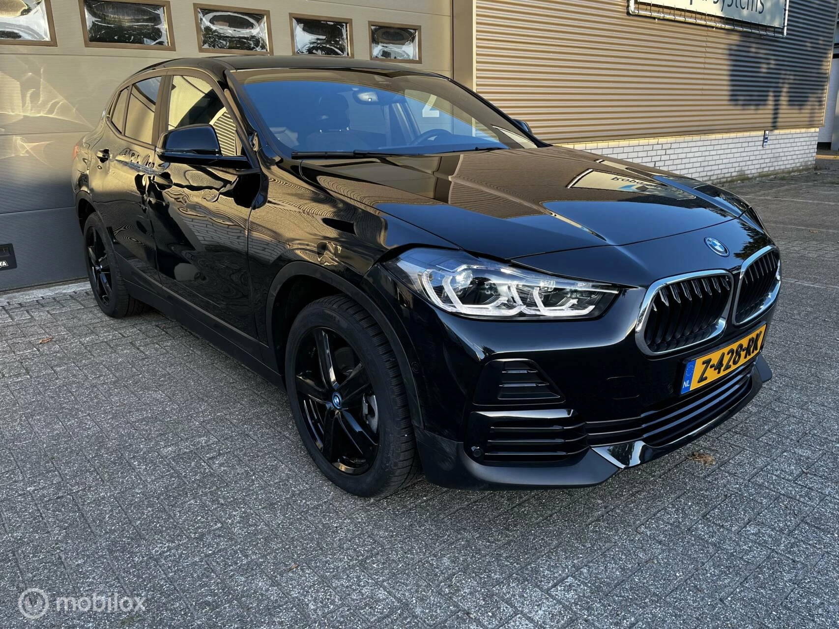 Hoofdafbeelding BMW X2