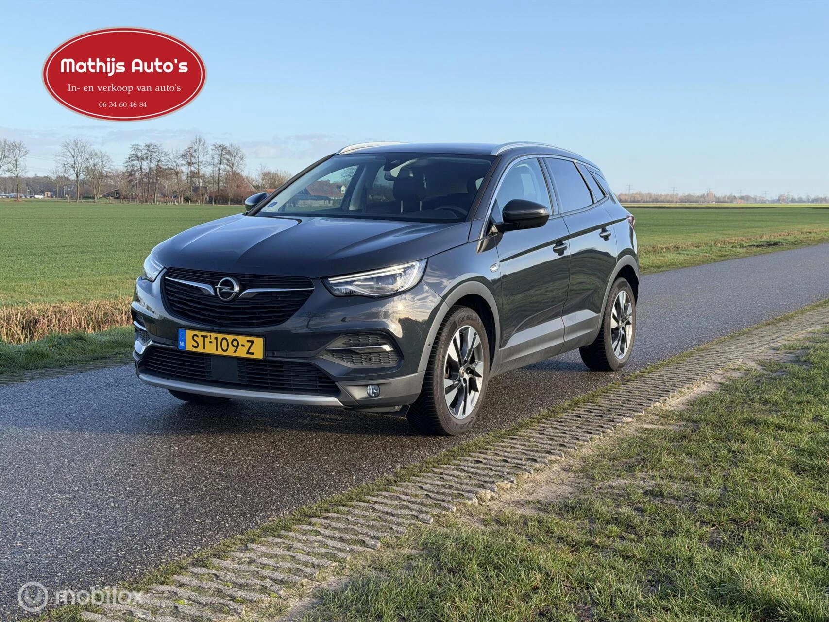 Hoofdafbeelding Opel Grandland X