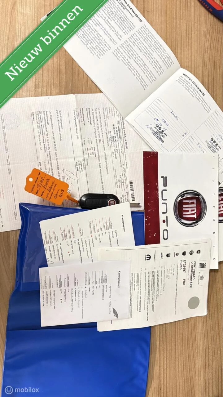 Hoofdafbeelding Fiat Punto