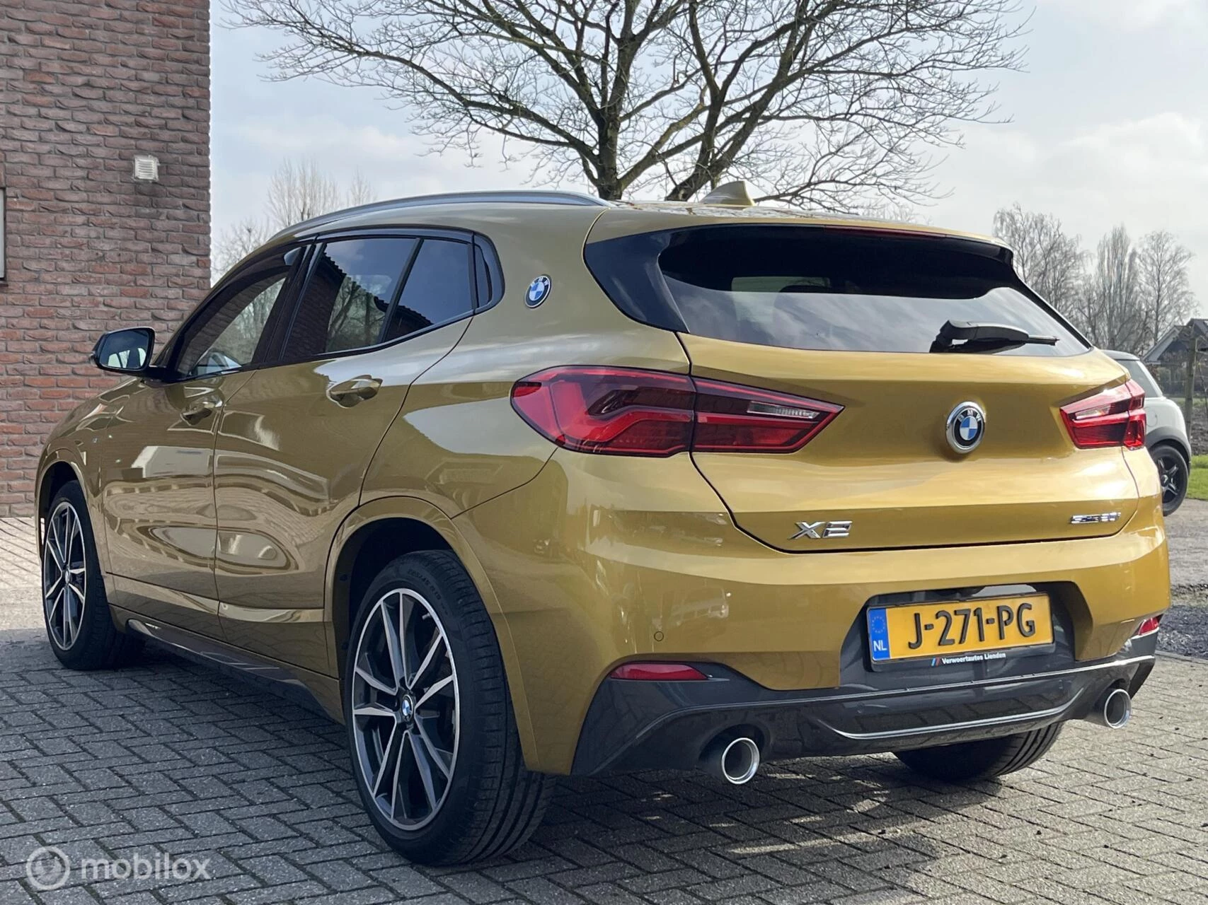 Hoofdafbeelding BMW X2