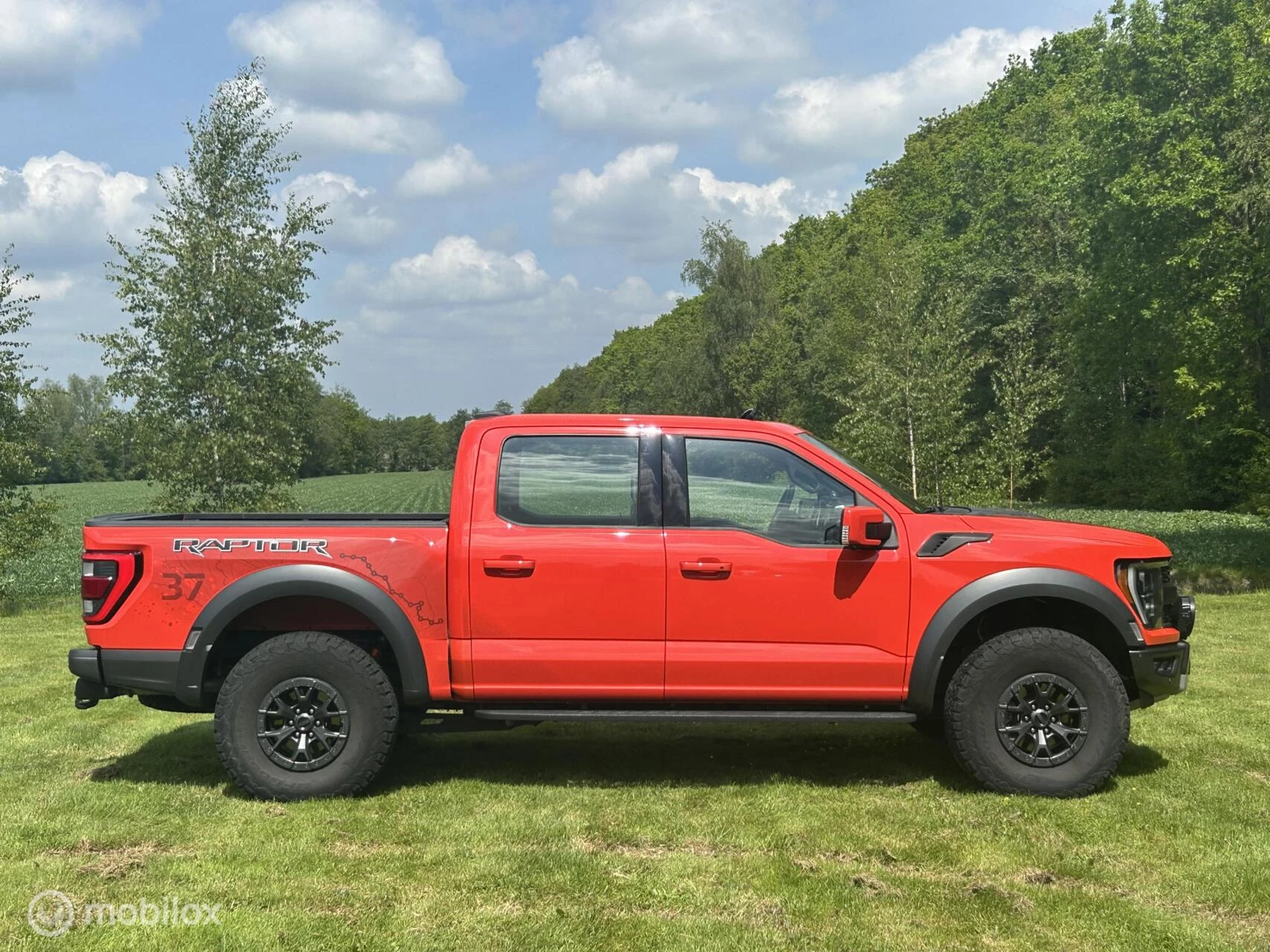 Hoofdafbeelding Ford F-150