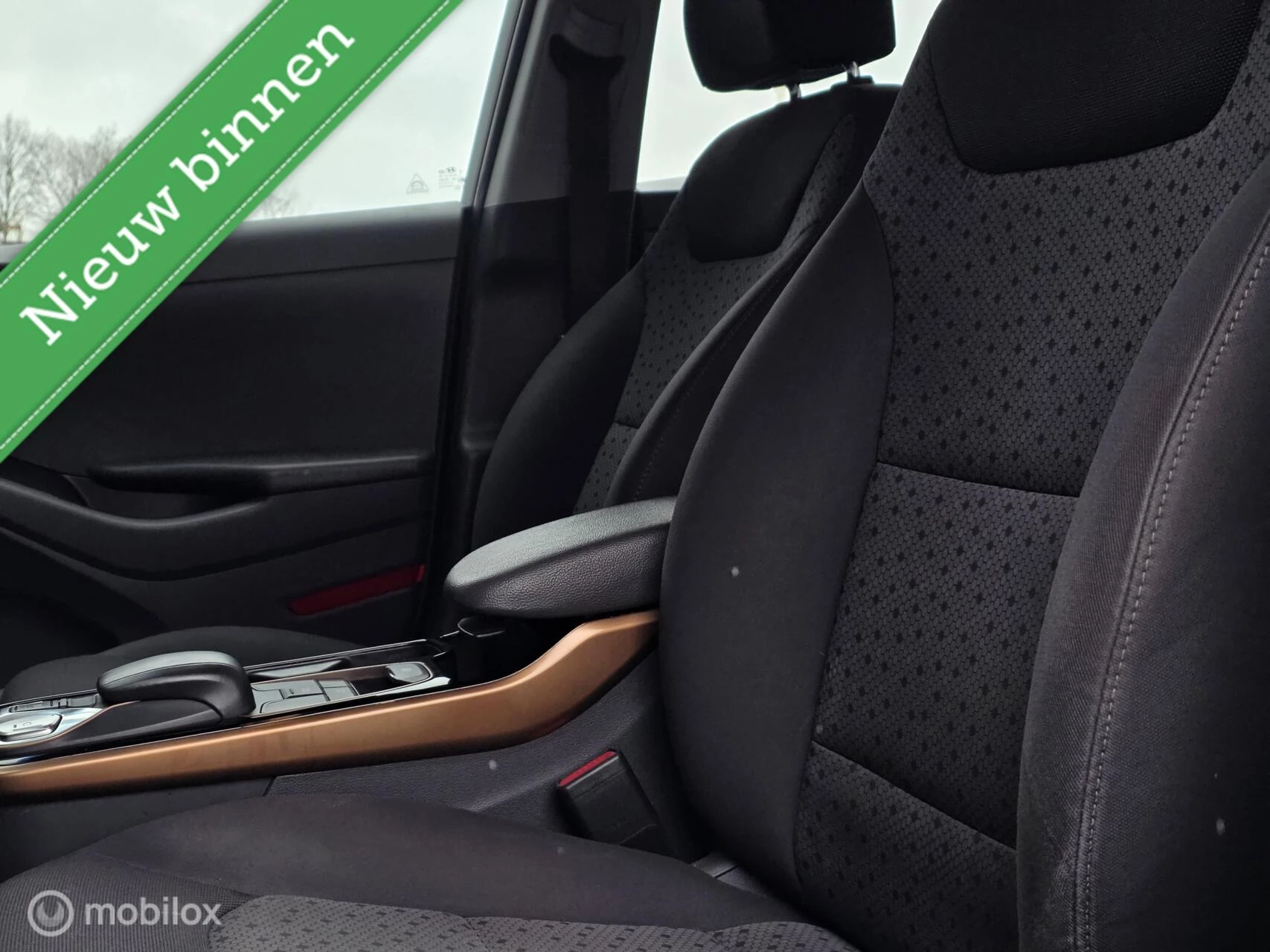 Hoofdafbeelding Hyundai IONIQ