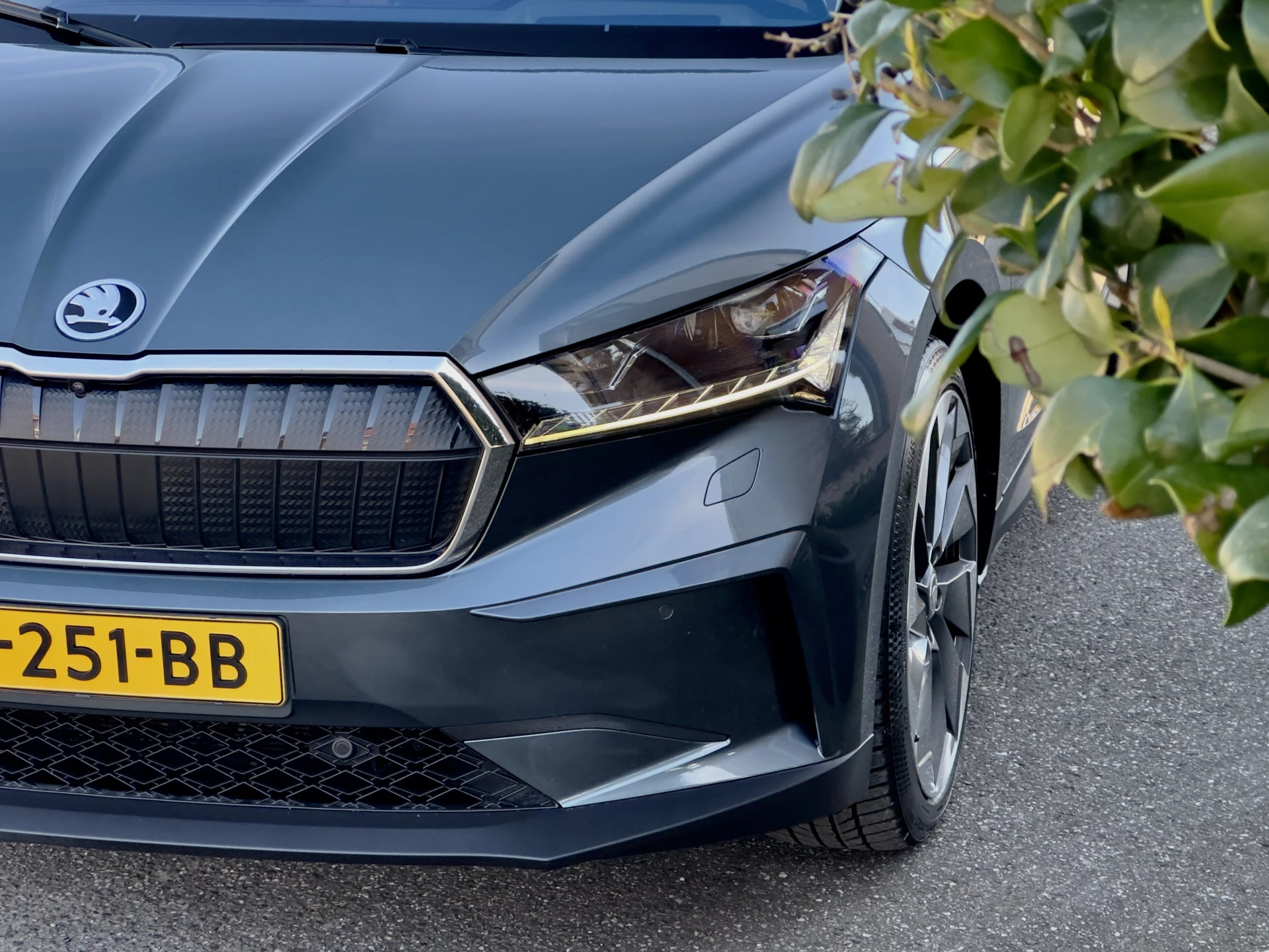 Hoofdafbeelding Škoda Enyaq iV