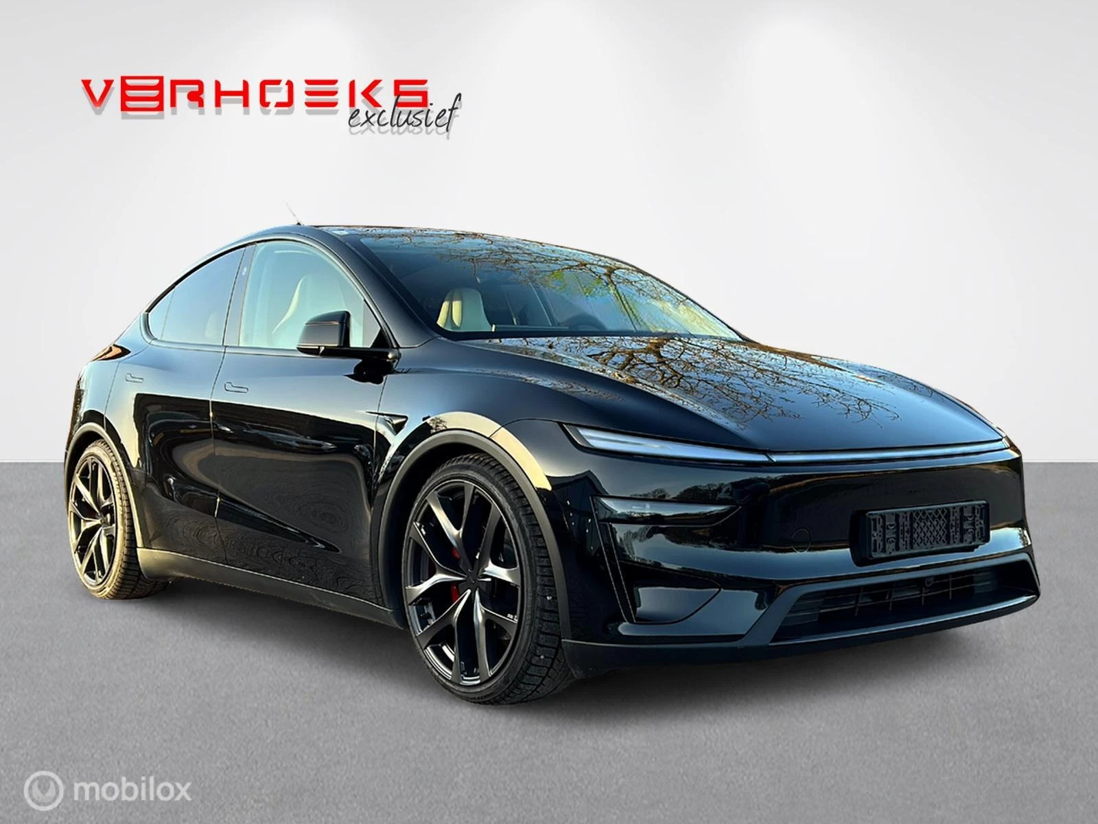 Hoofdafbeelding Tesla Model Y