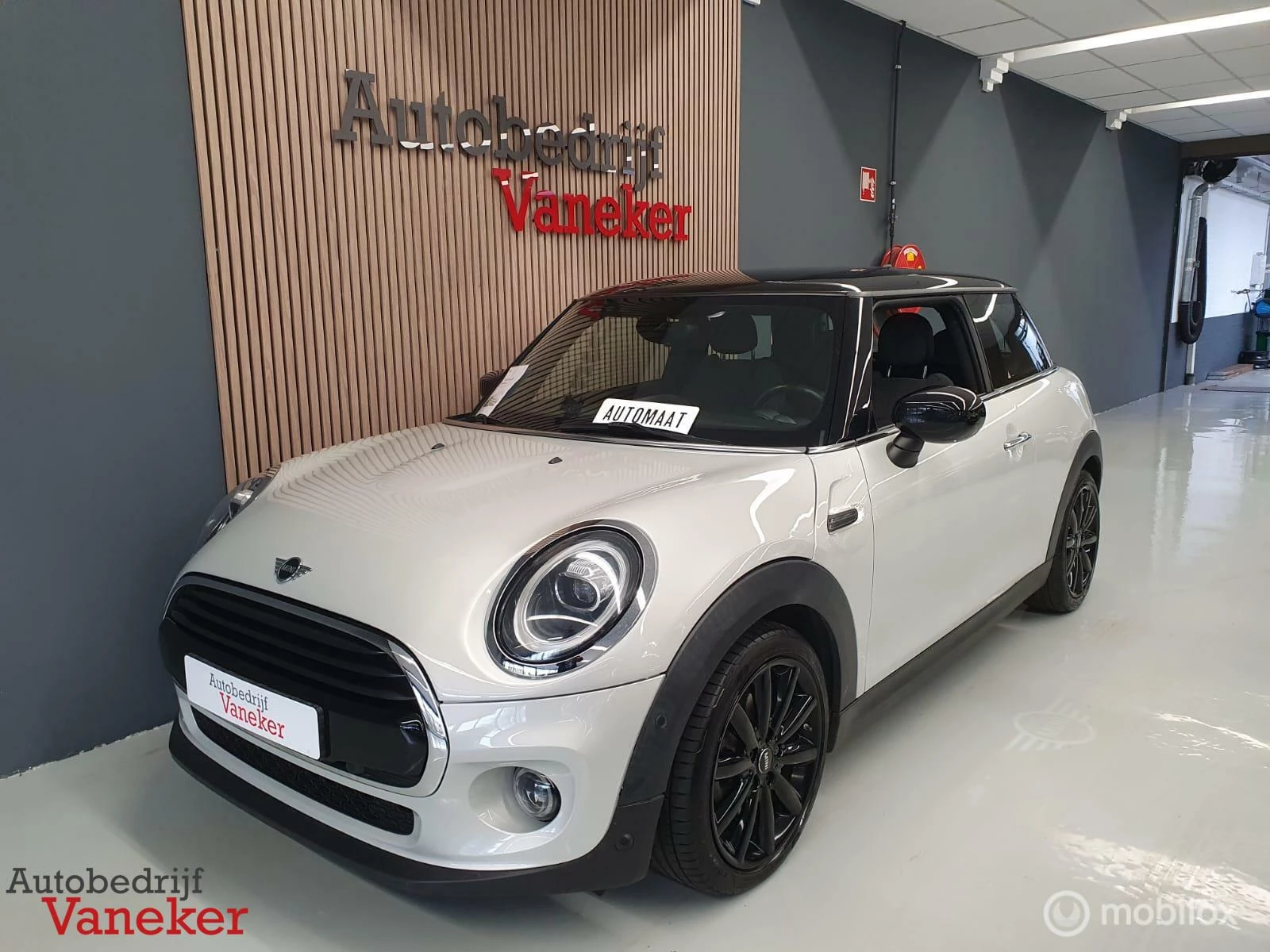 Hoofdafbeelding MINI Cooper