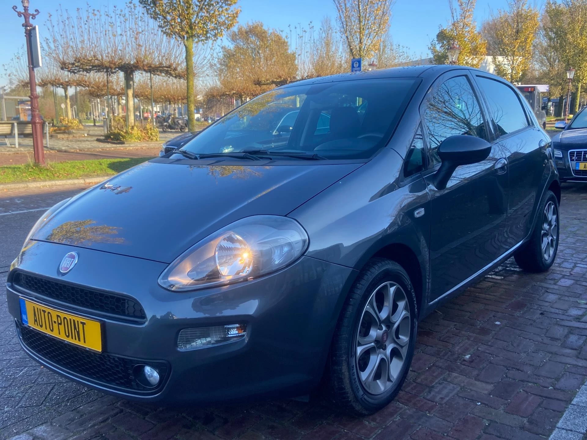 Hoofdafbeelding Fiat Punto