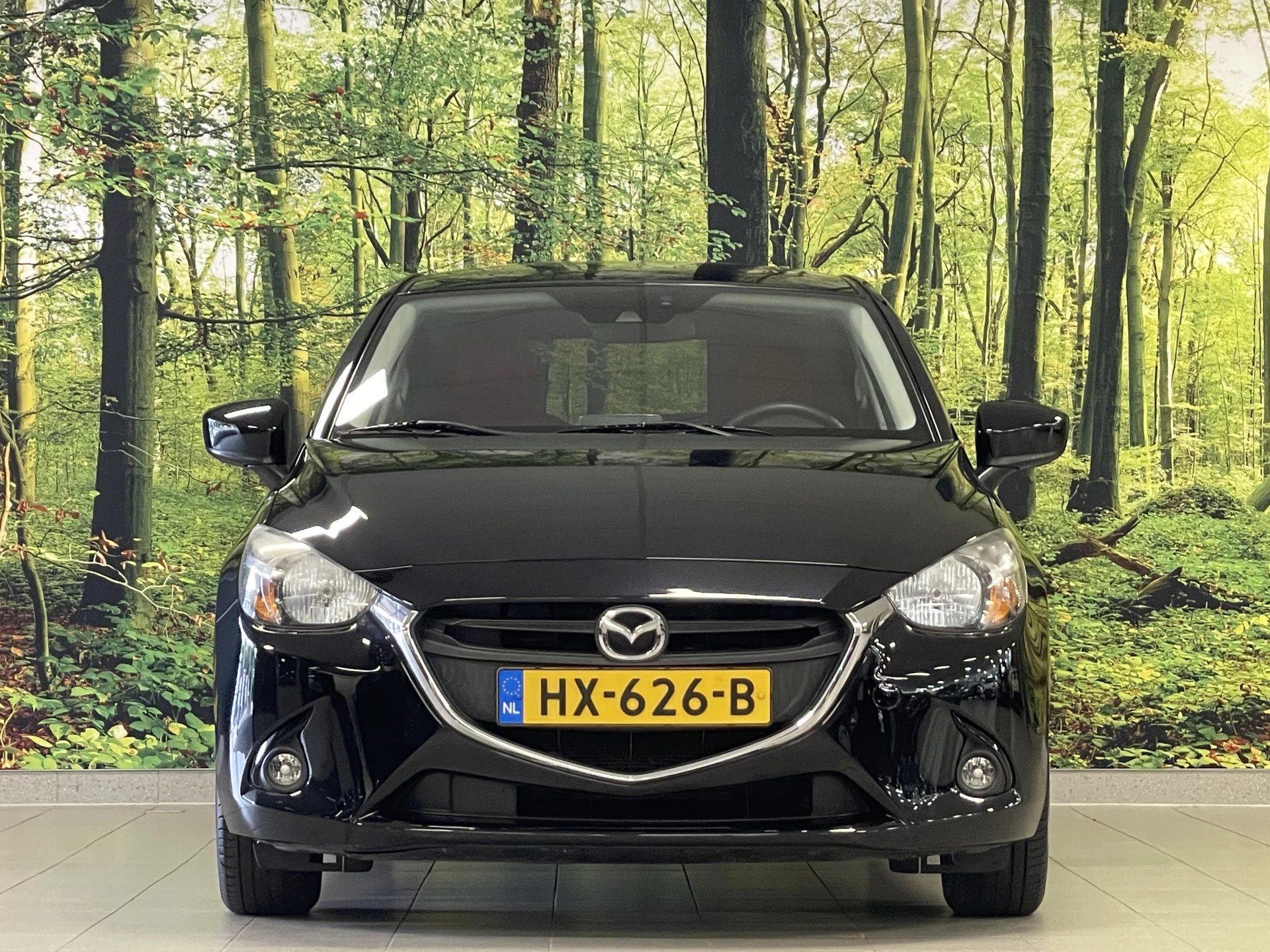 Hoofdafbeelding Mazda 2