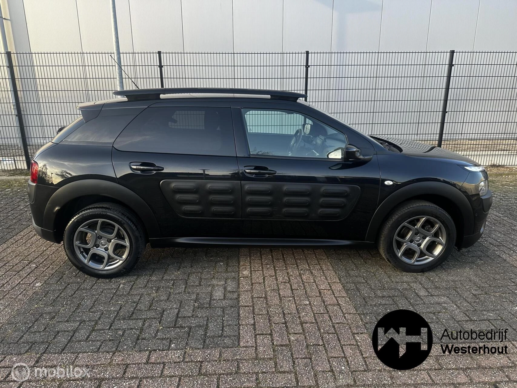 Hoofdafbeelding Citroën C4 Cactus