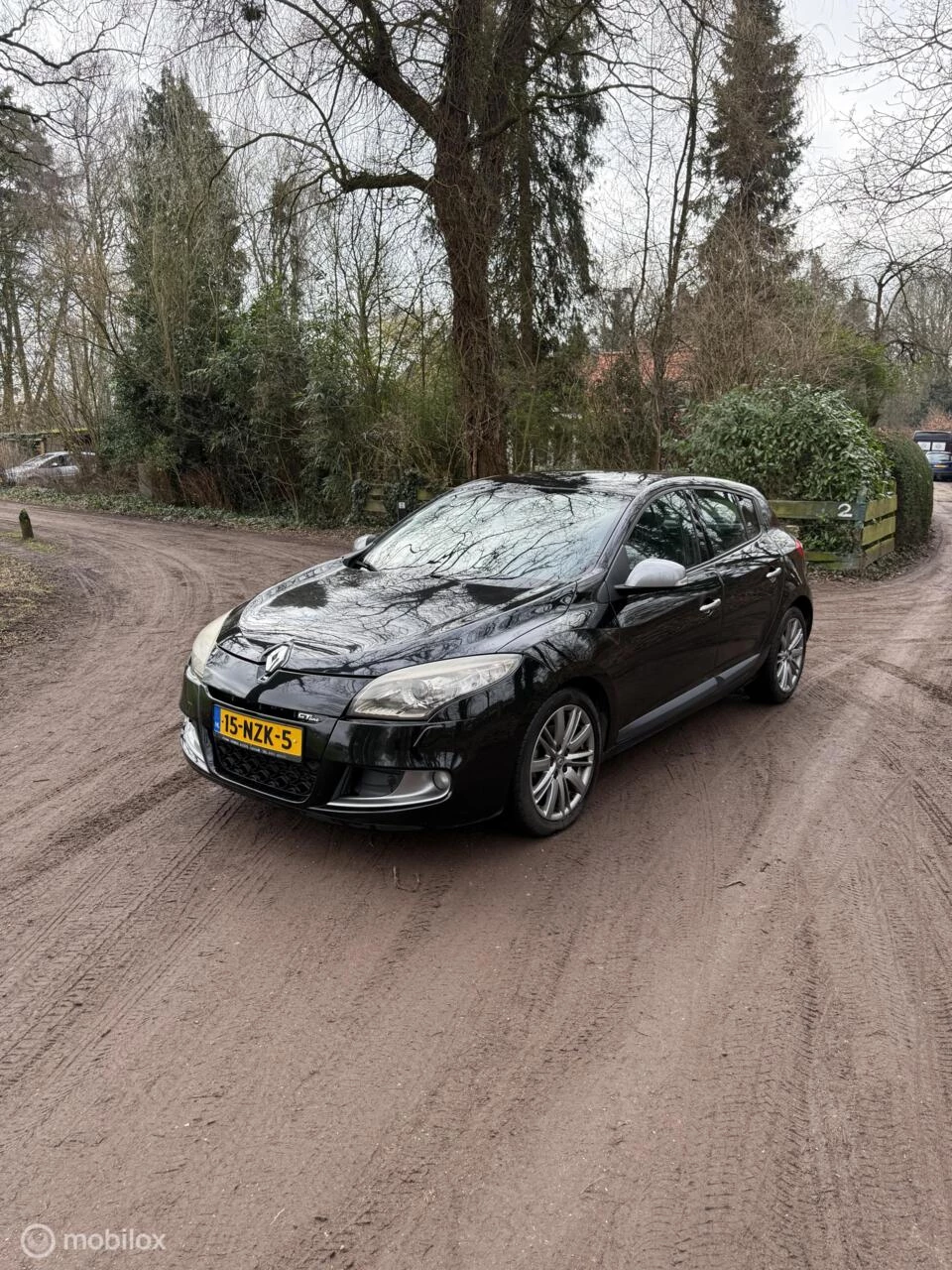 Hoofdafbeelding Renault Mégane