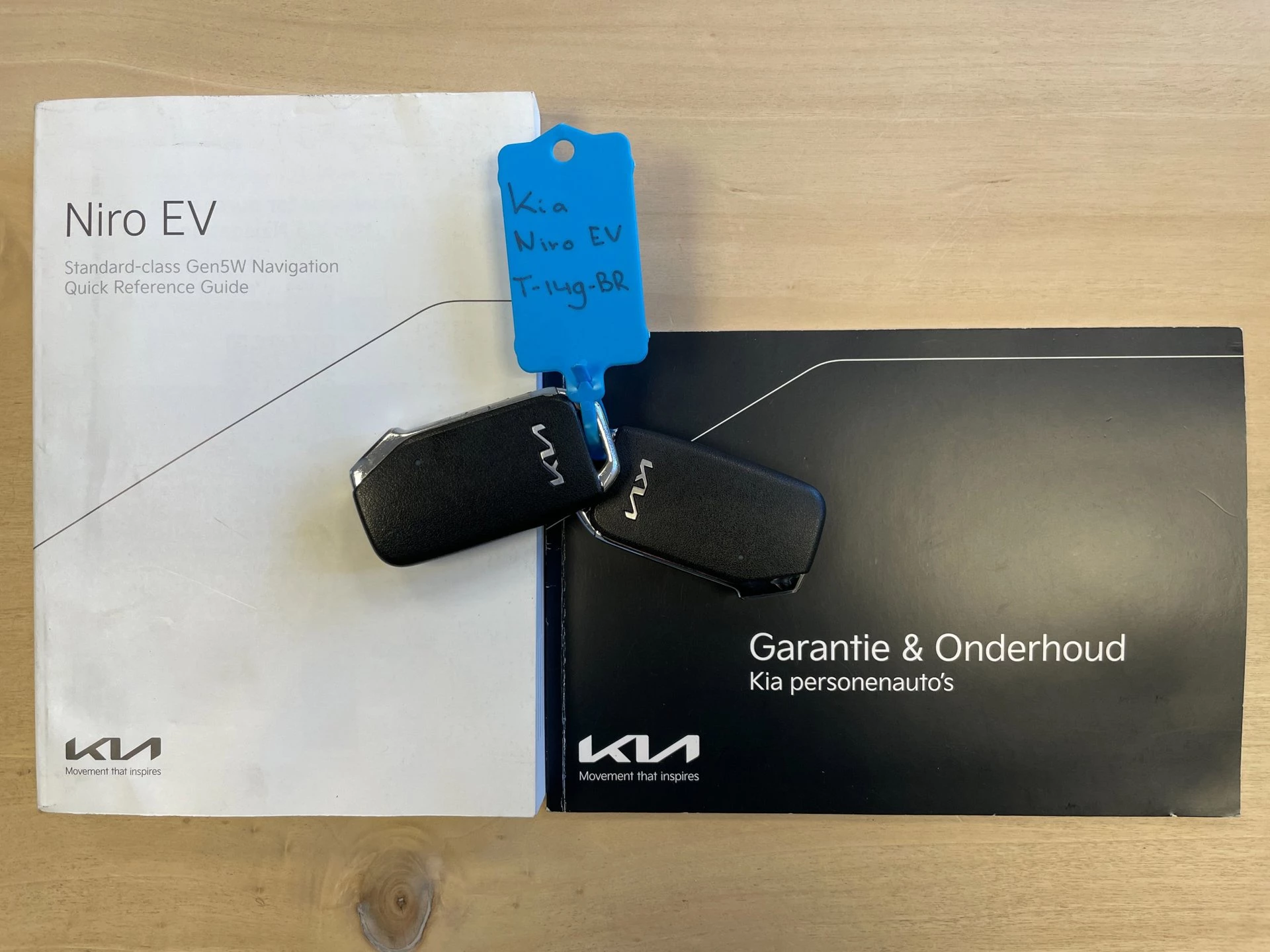 Hoofdafbeelding Kia Niro EV