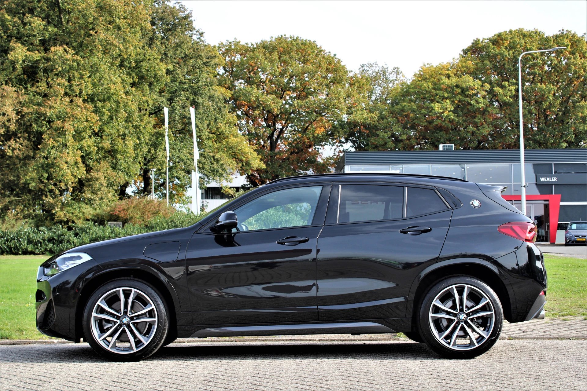 Hoofdafbeelding BMW X2