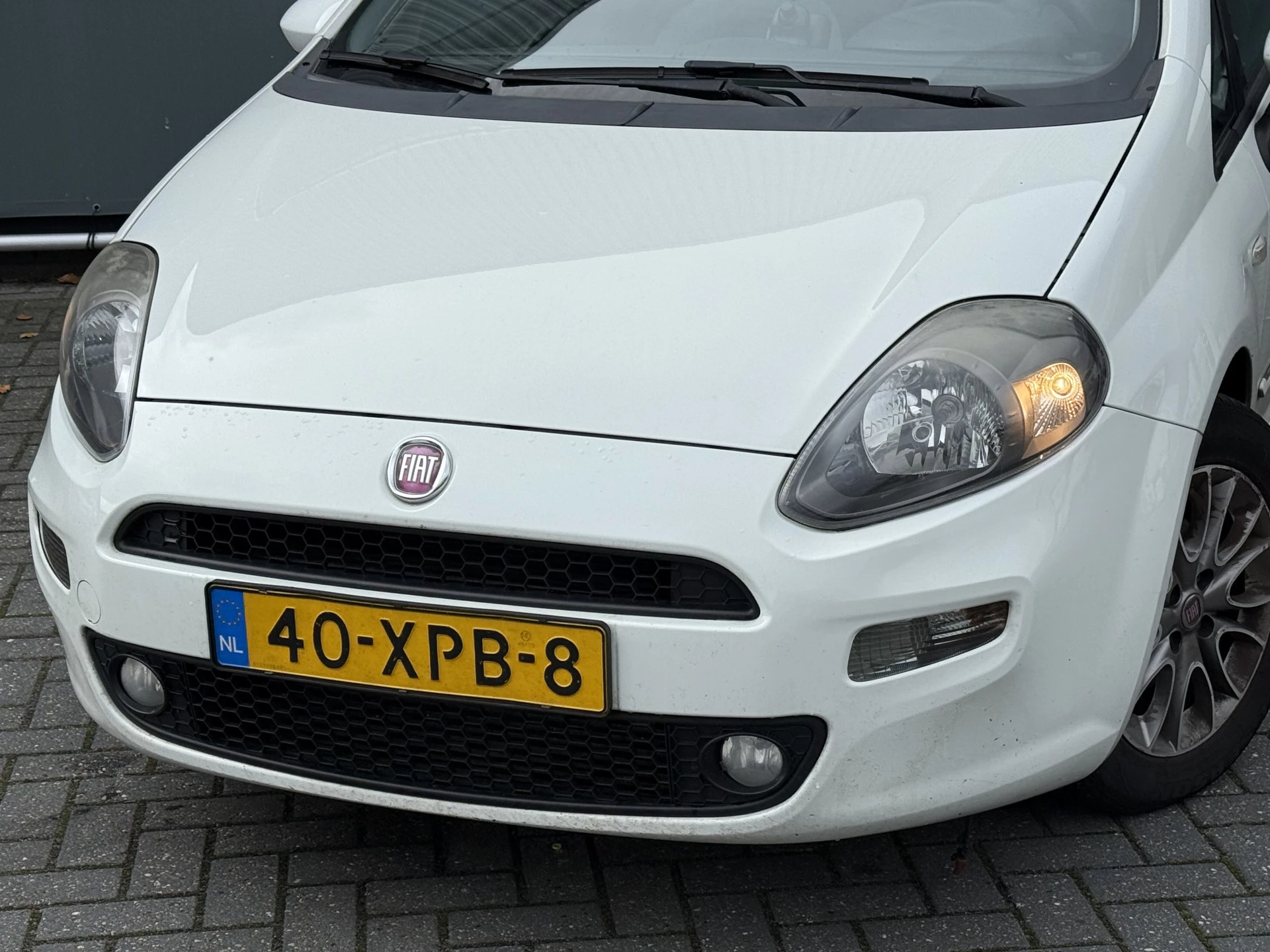 Hoofdafbeelding Fiat Punto
