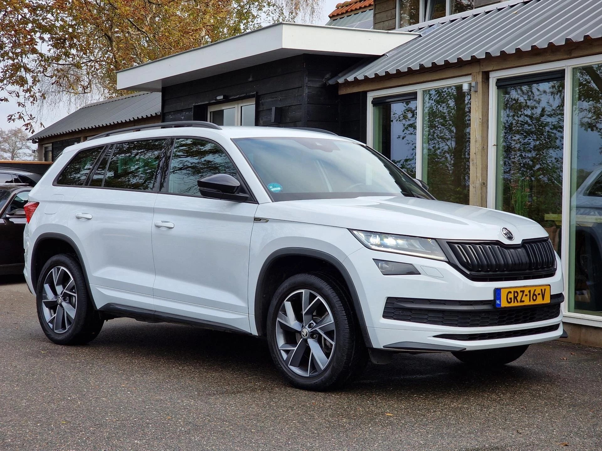 Hoofdafbeelding Škoda Kodiaq