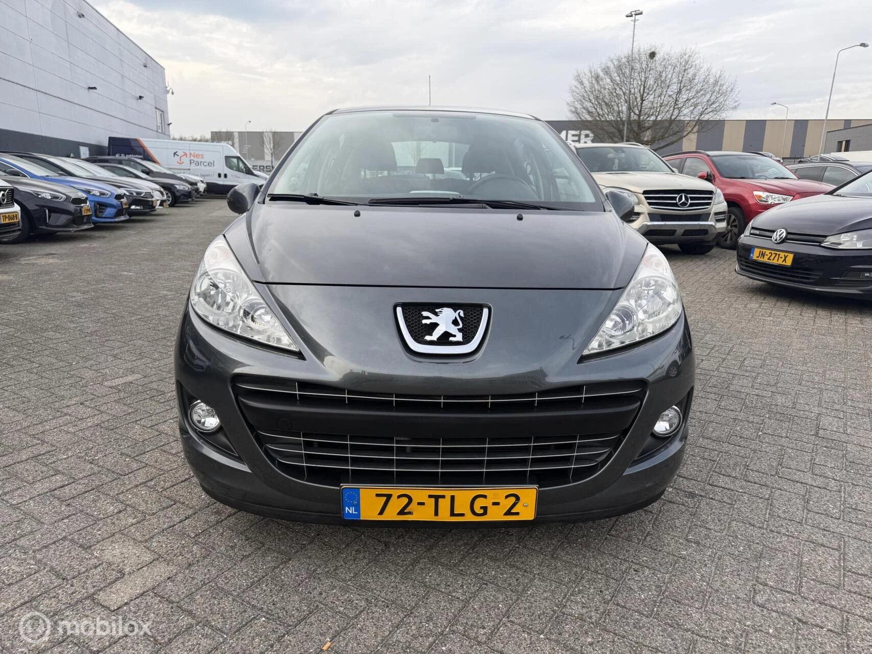 Hoofdafbeelding Peugeot 207